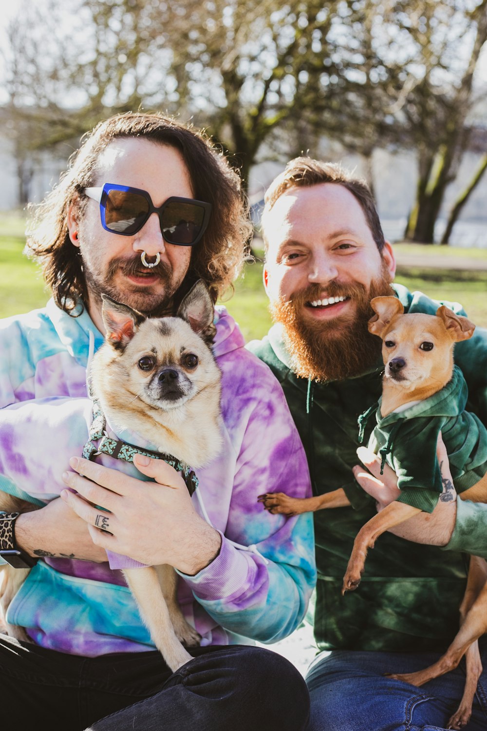 two men sitting on a bench holding small dogs