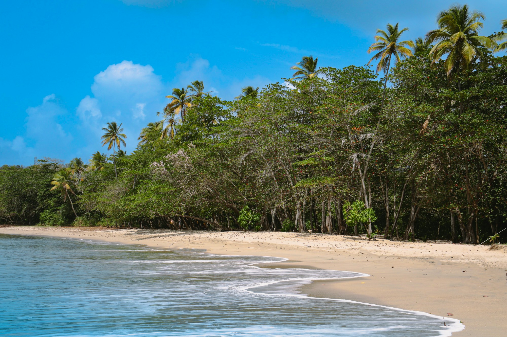 Castries: Exploring Local Culture & Traditions