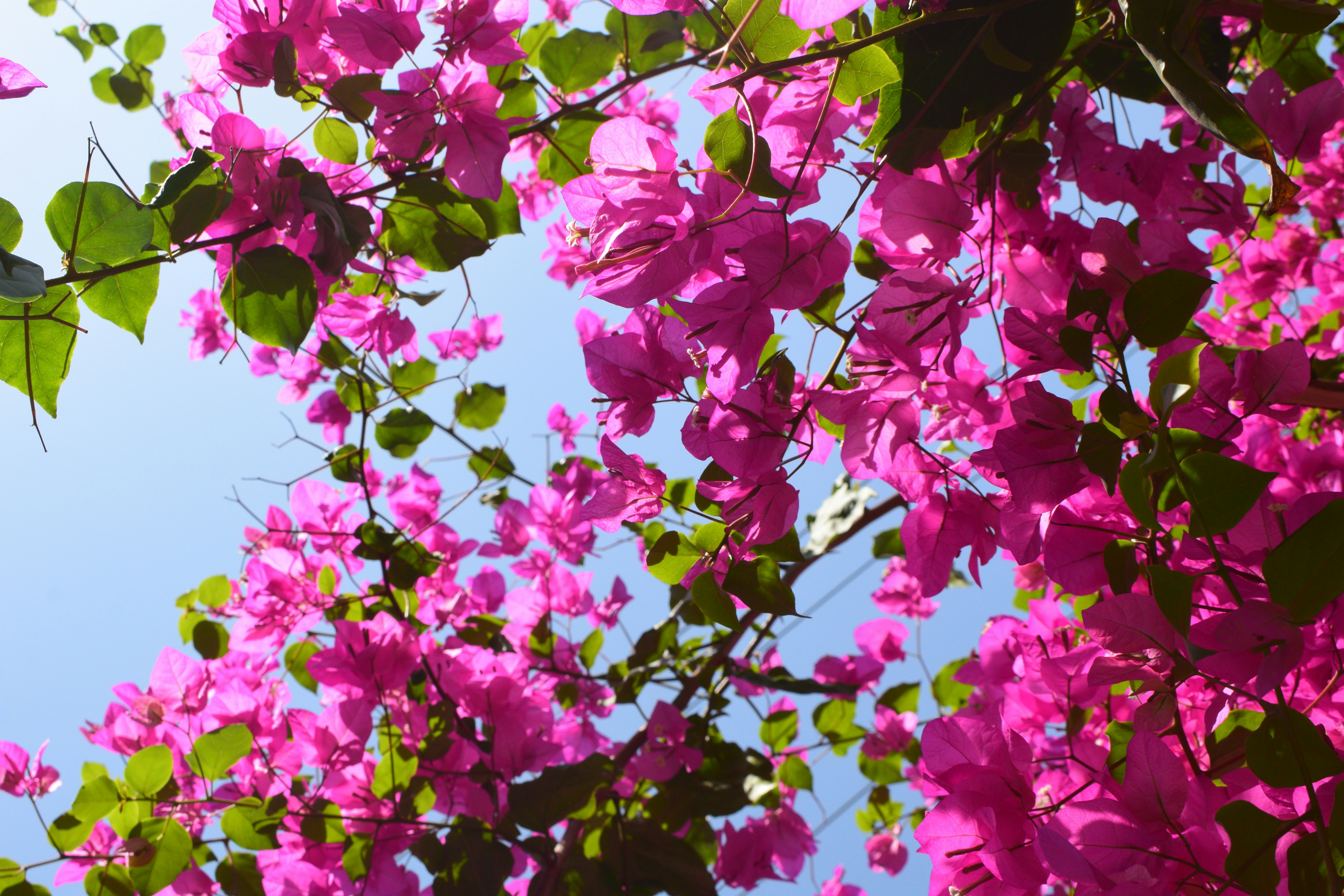 Photo by photospeaks_40