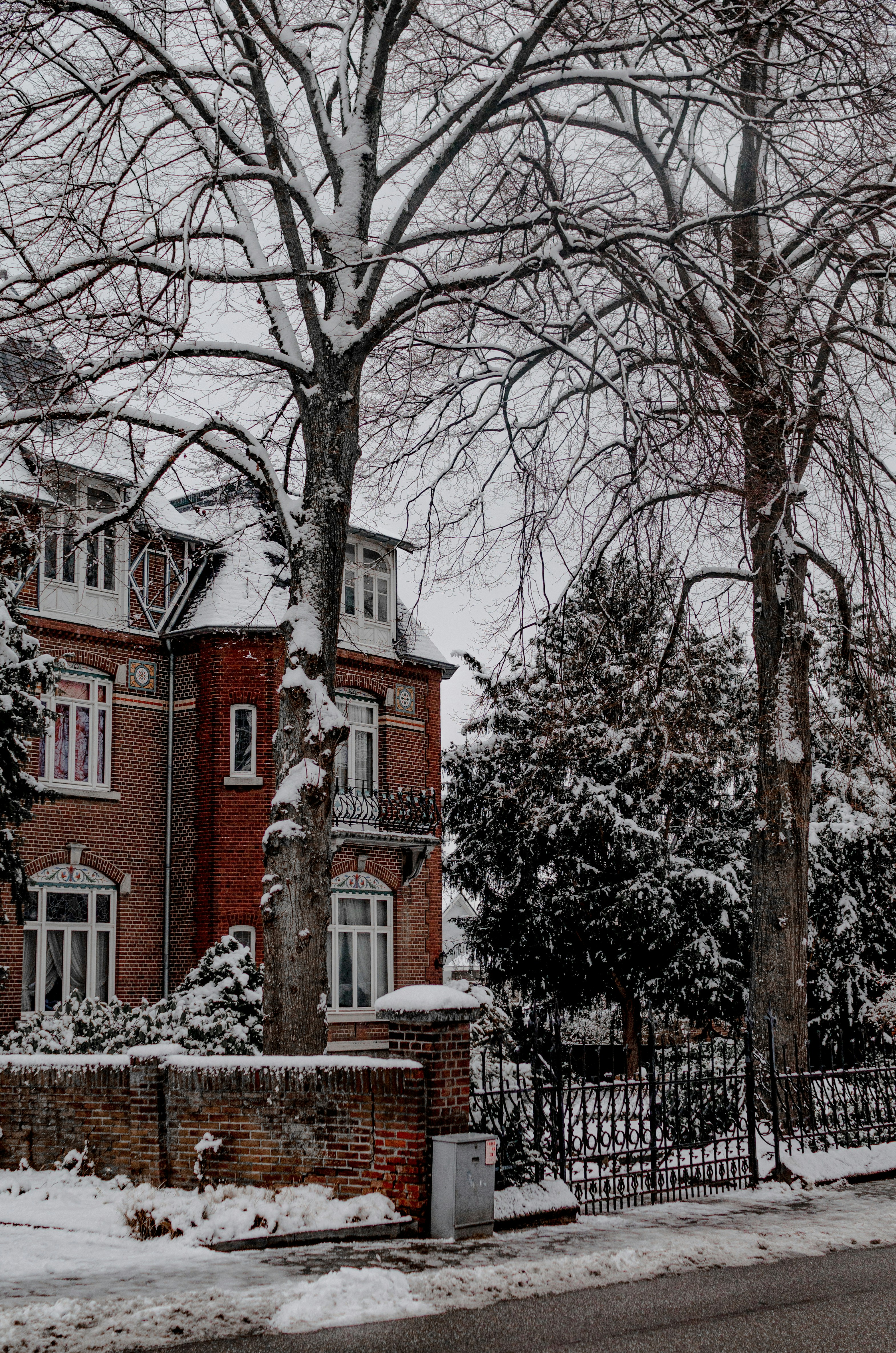 Photo by gamanalice3012