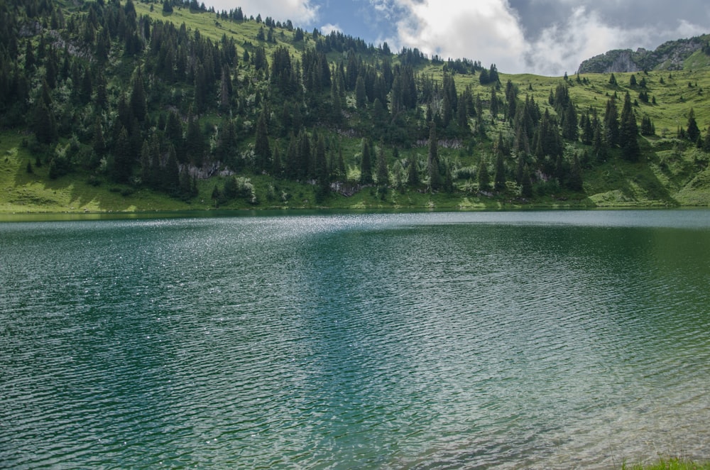 a large body of water surrounded by a lush green hillside