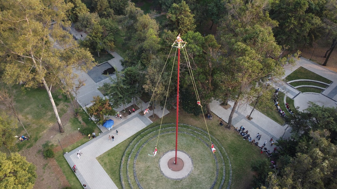 an aerial view of a clock tower in a park,