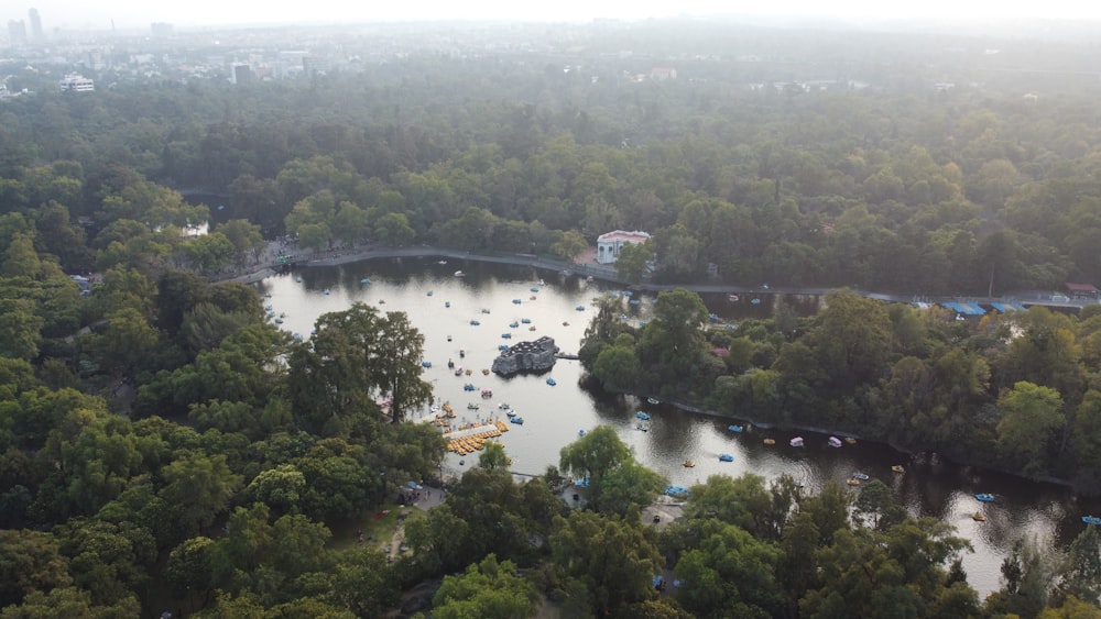 Una vista aérea de un lago rodeado de árboles