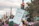 A group of concerned citizens holding signs at a rally.