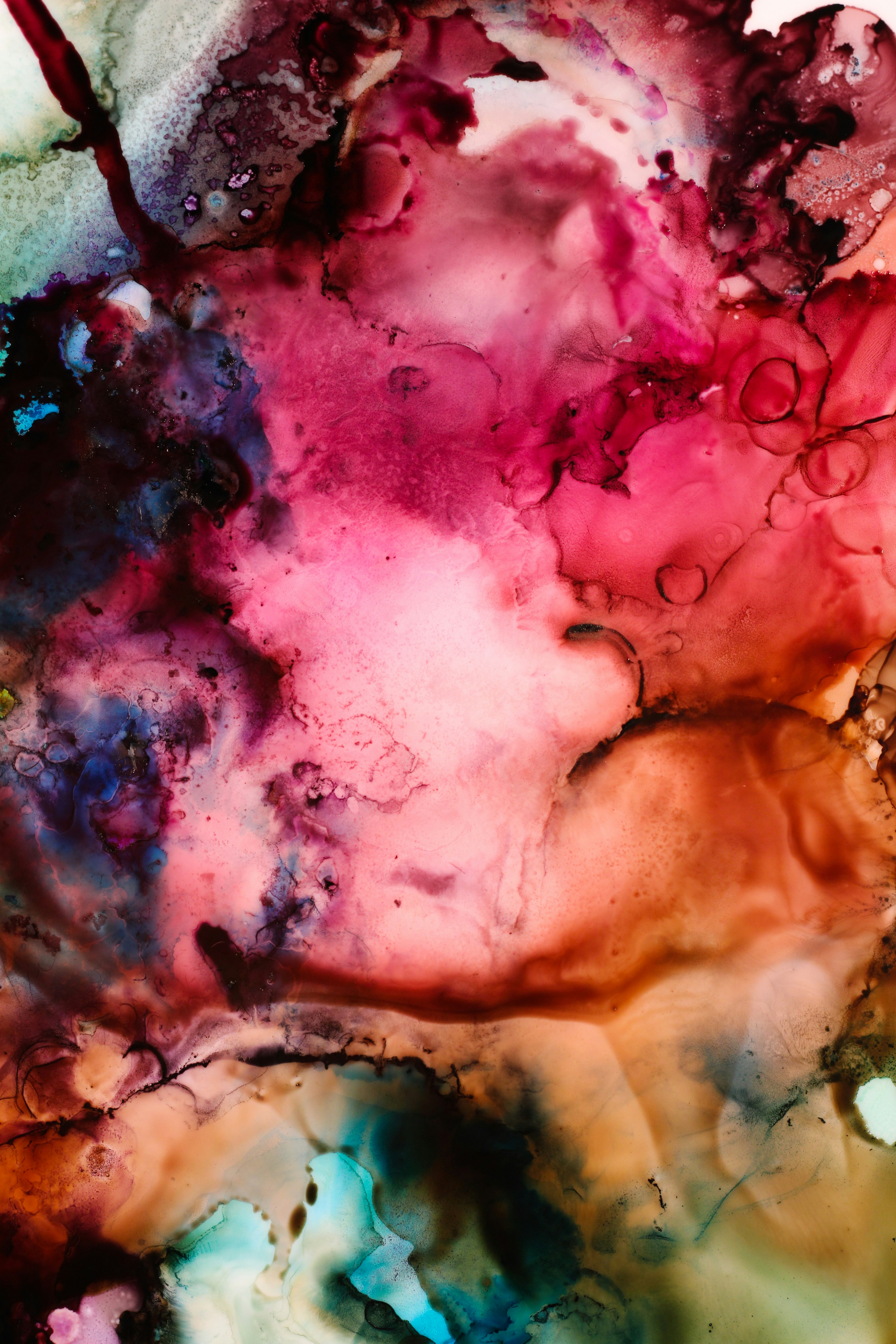 Photo by susan_wilkinson