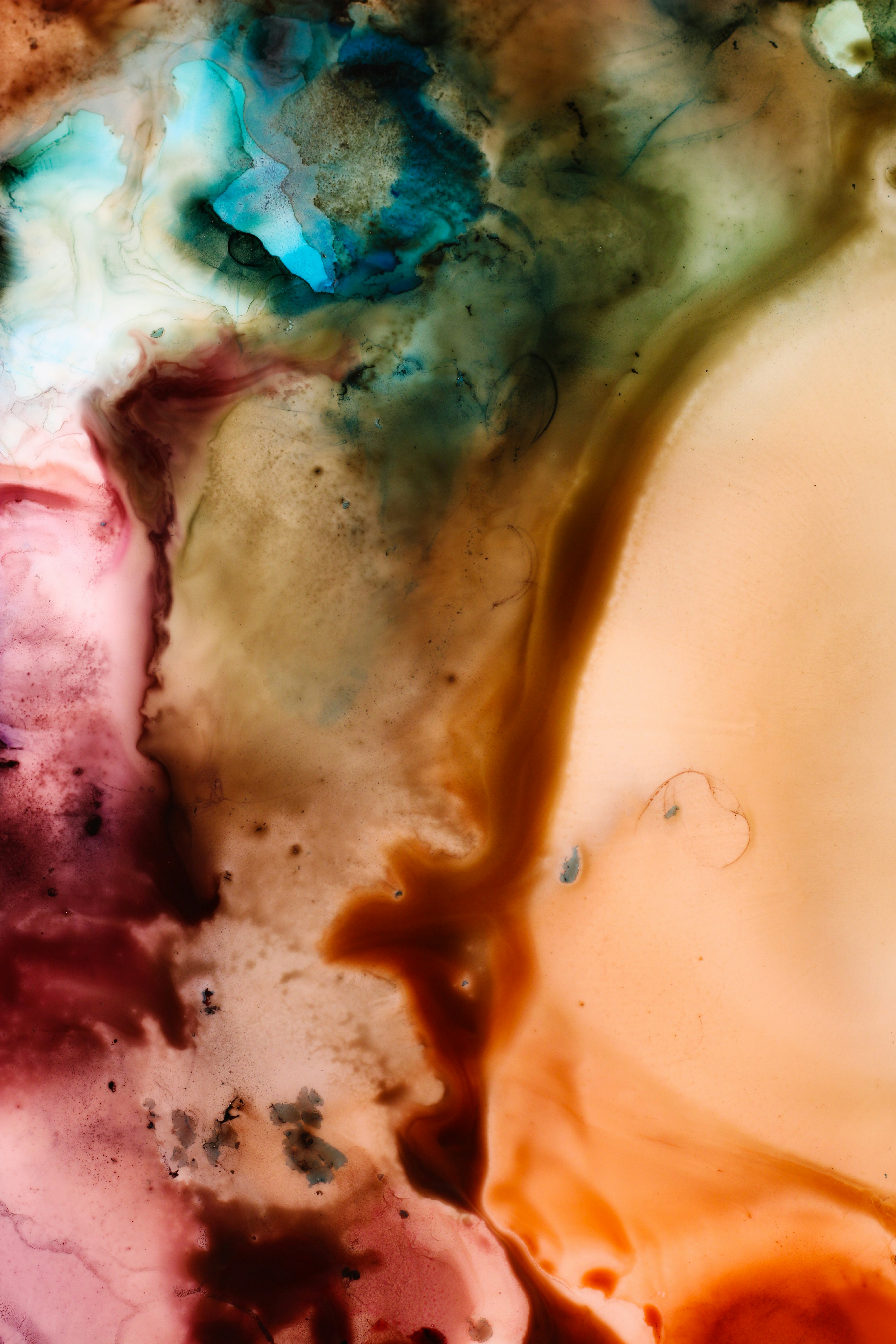 Photo by susan_wilkinson