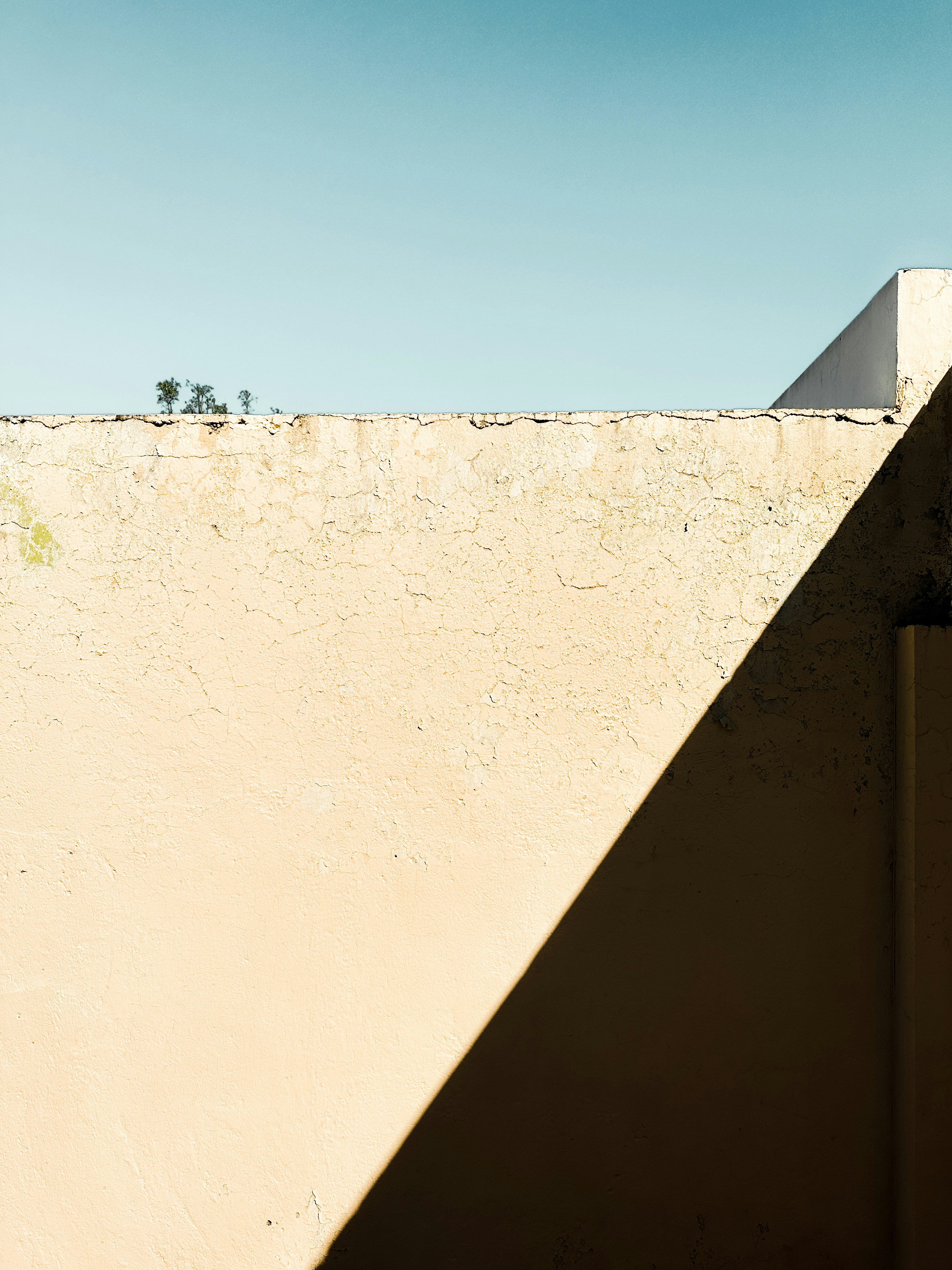 Photo by brunocervera