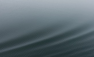A calm body of water with gentle ripples creating a serene and peaceful surface.