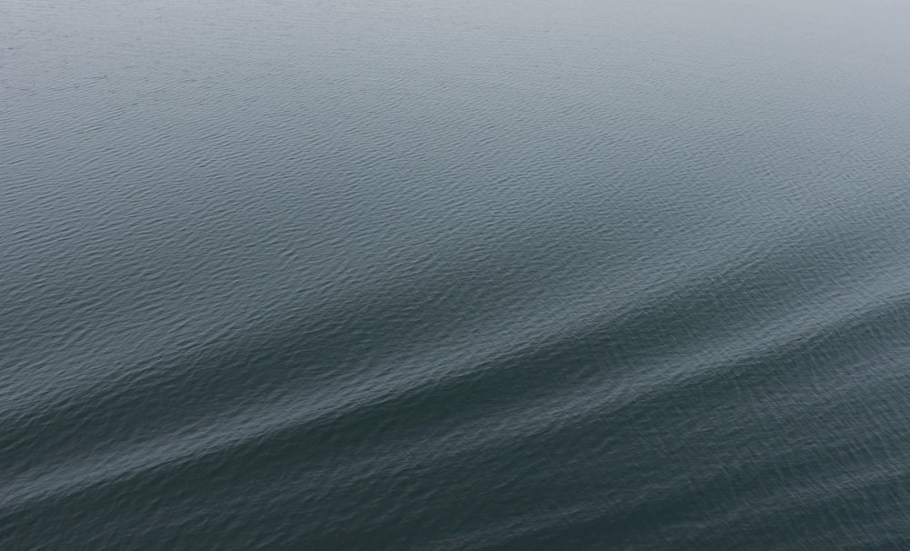 un grand plan d’eau avec un bateau dedans