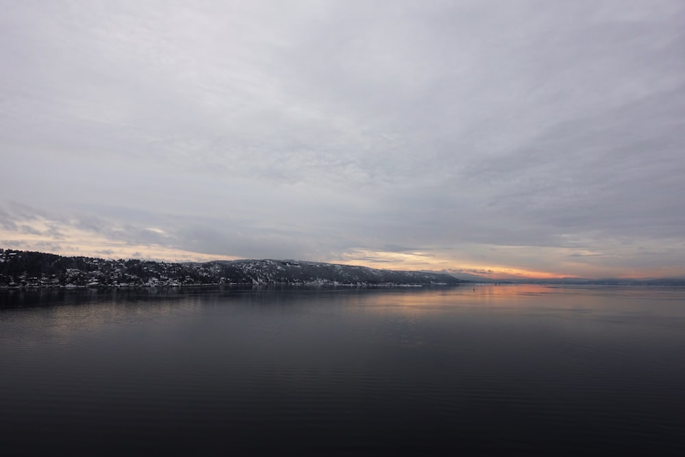 a large body of water surrounded by a forest