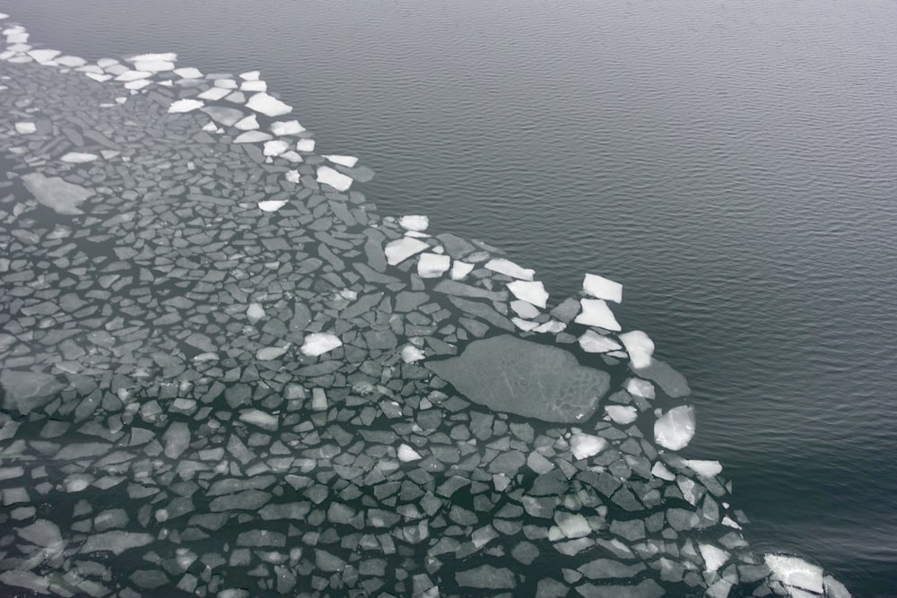 Una vista aérea de témpanos de hielo flotando en el agua