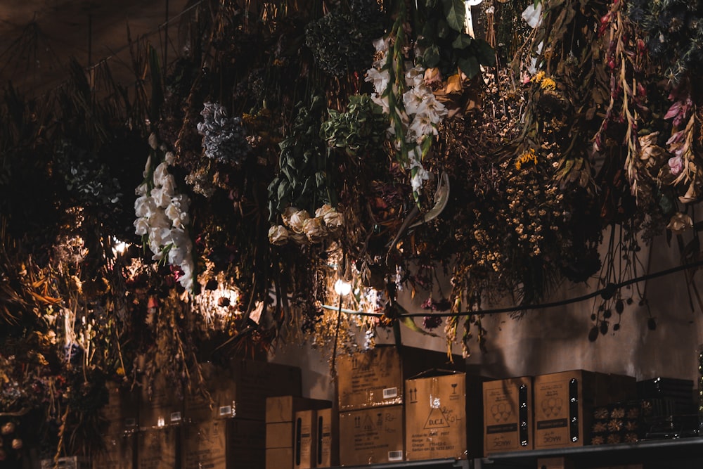 a bunch of flowers hanging from a ceiling