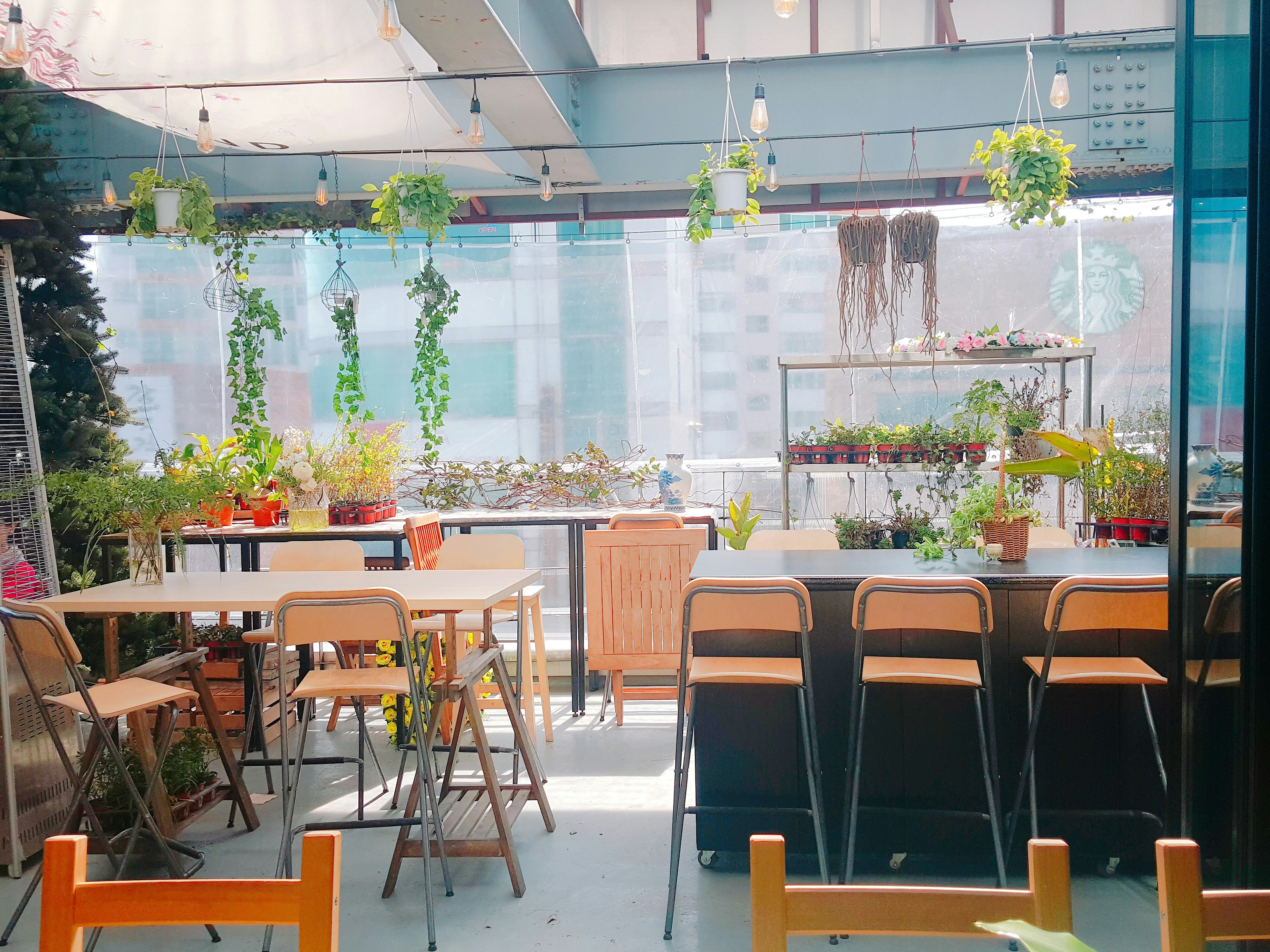 Dog treats in bright clean environment, natural lighting, airy open setting