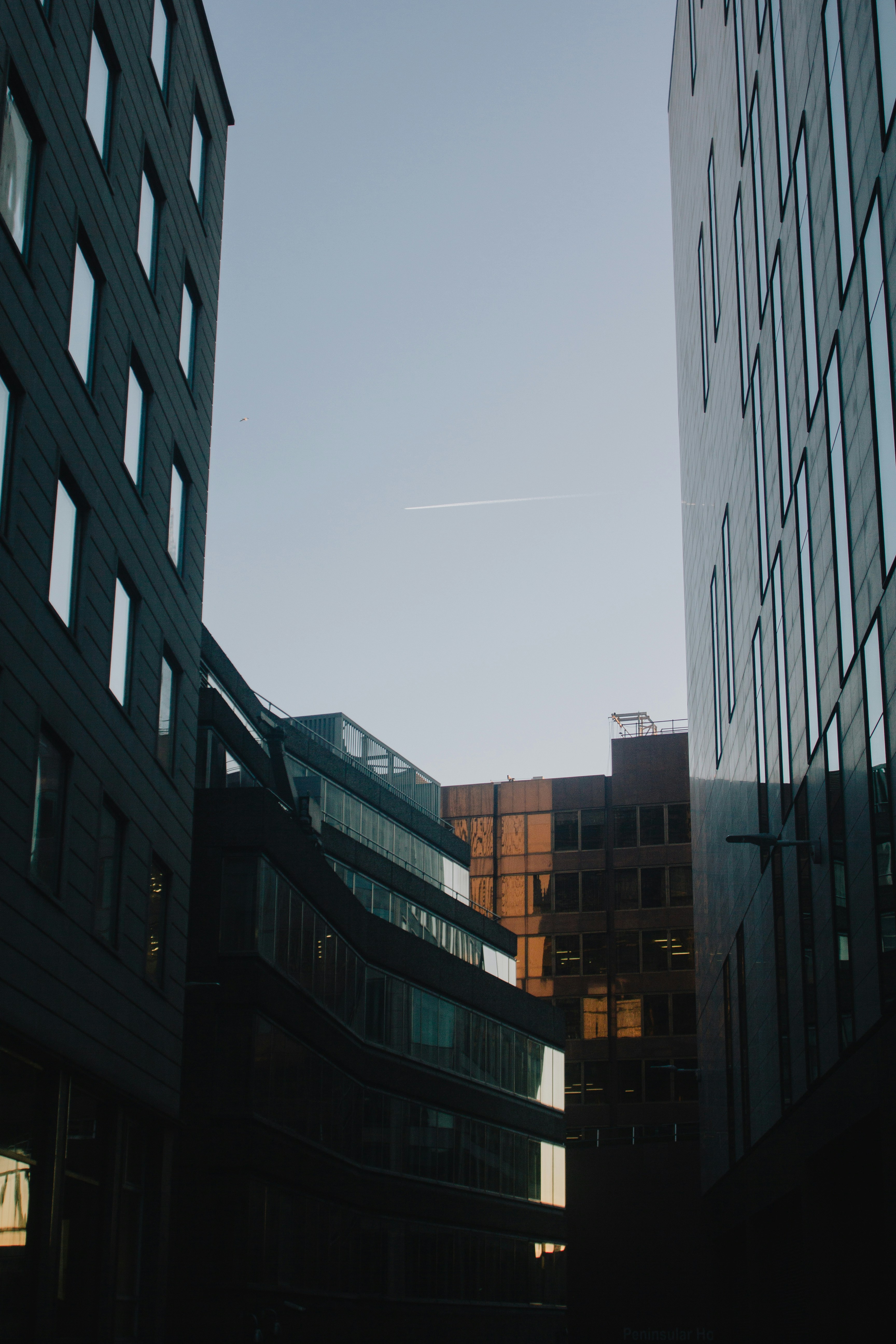 Photo by bfenton_photo