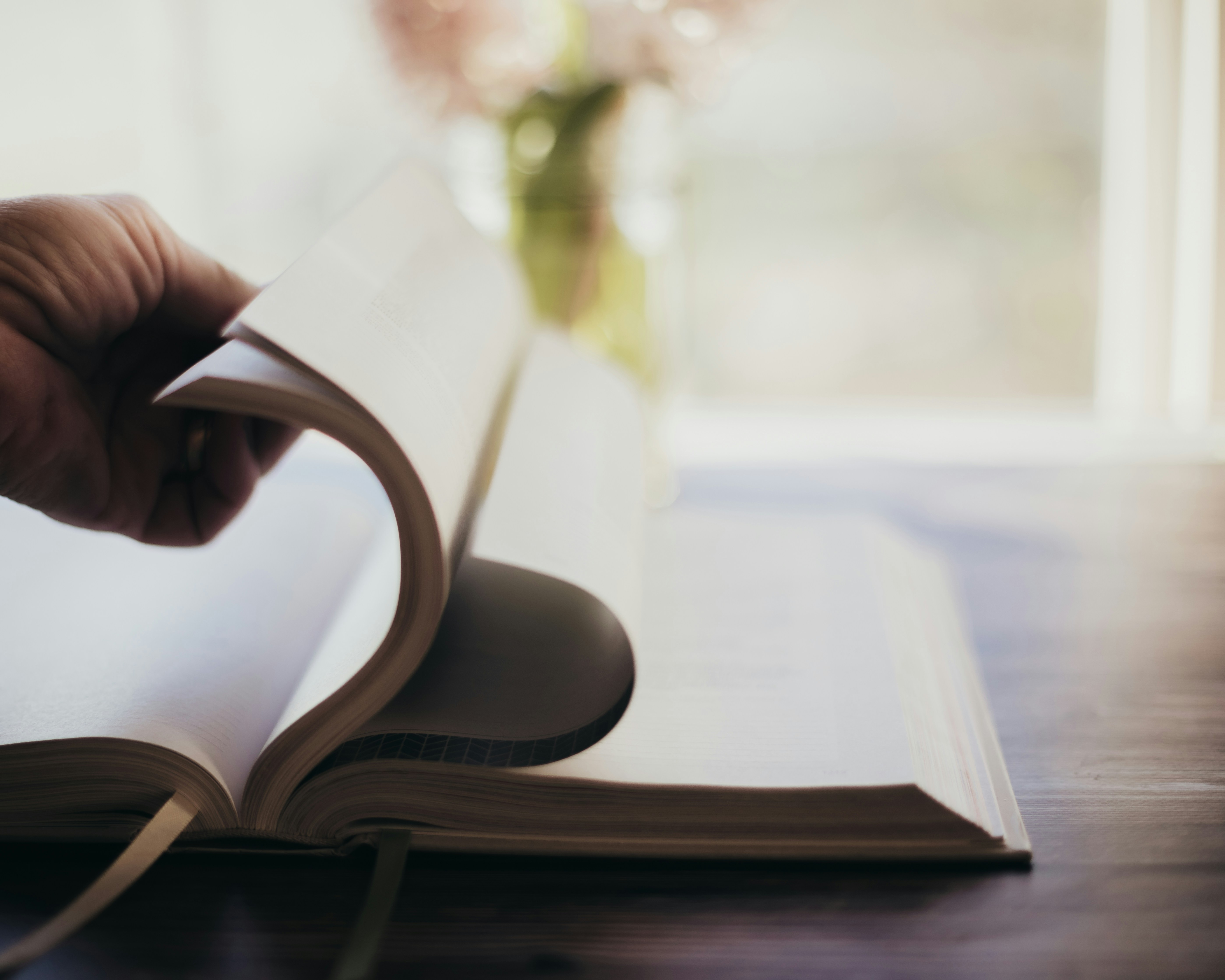 Photo by sixteenmilesout