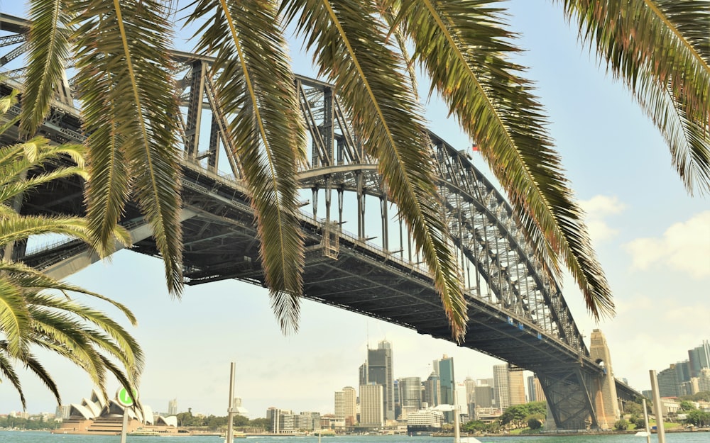 a bridge over a body of water with a city in the background