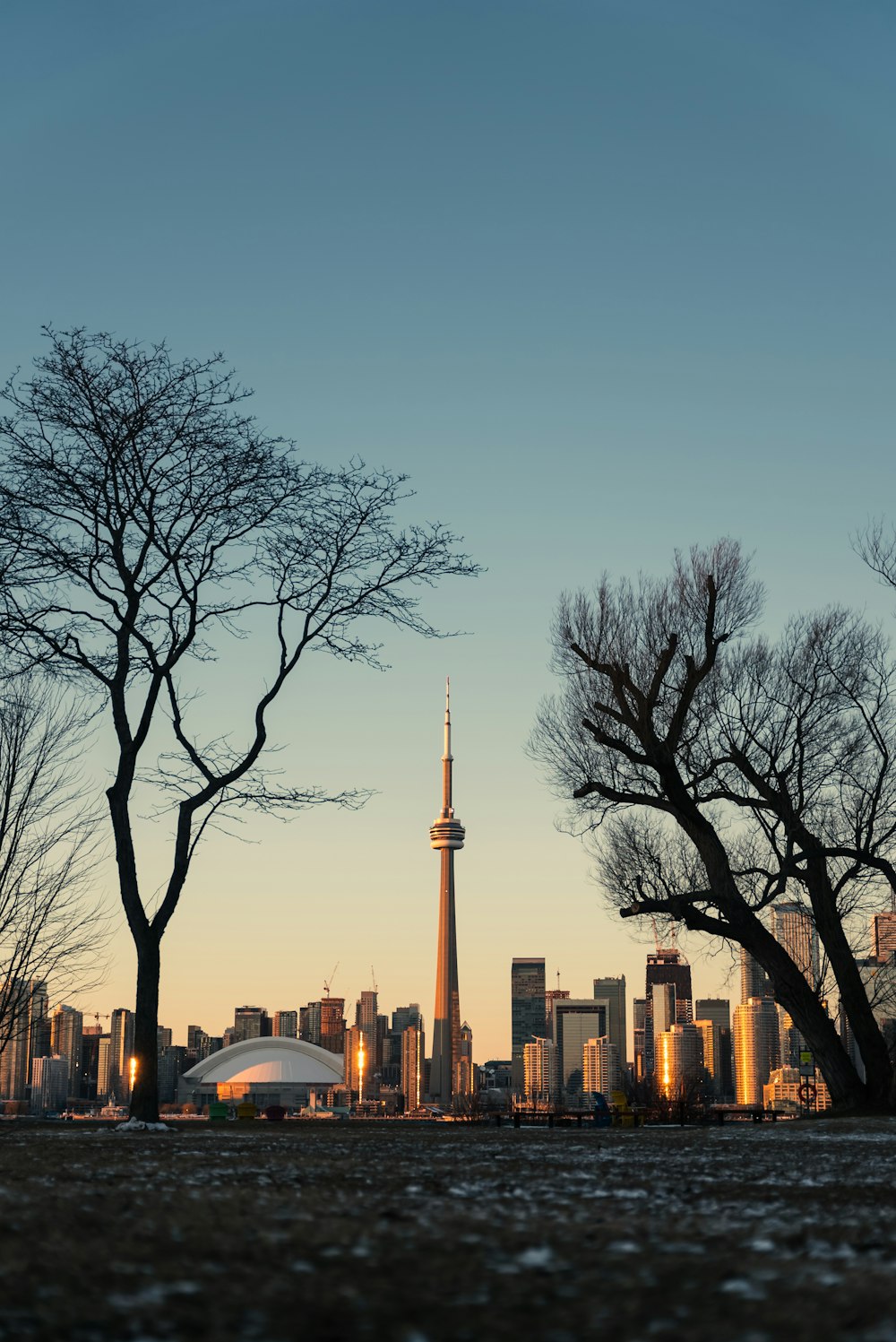 a view of a city skyline with trees in the foreground