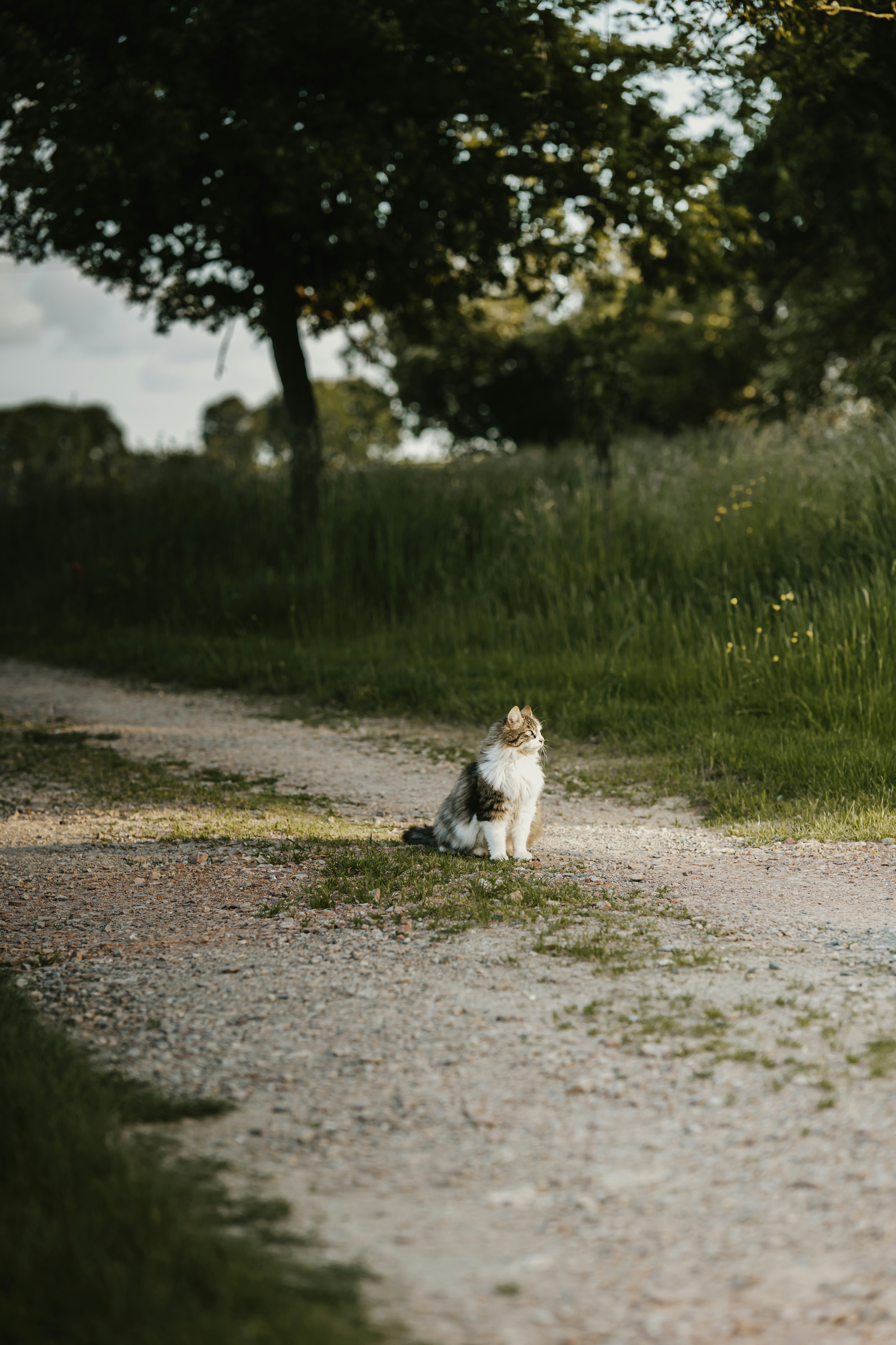 Photo by elmartinbaron