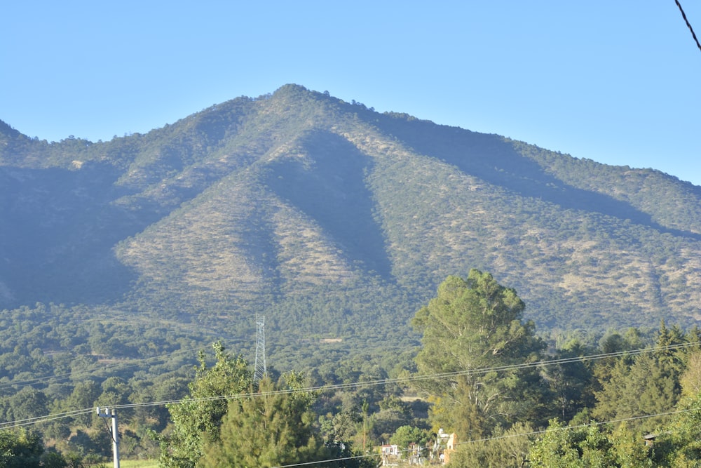 a view of a mountain range with trees in the foreground