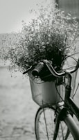 A chic crossbody bag hanging on a vintage bicycle handlebar, with blooming flowers in the background.