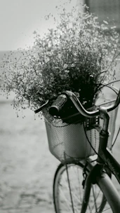 Close-up of elegant loafers paired with cropped pants, resting on a vintage bicycle basket filled with fresh flowers and a baguette.