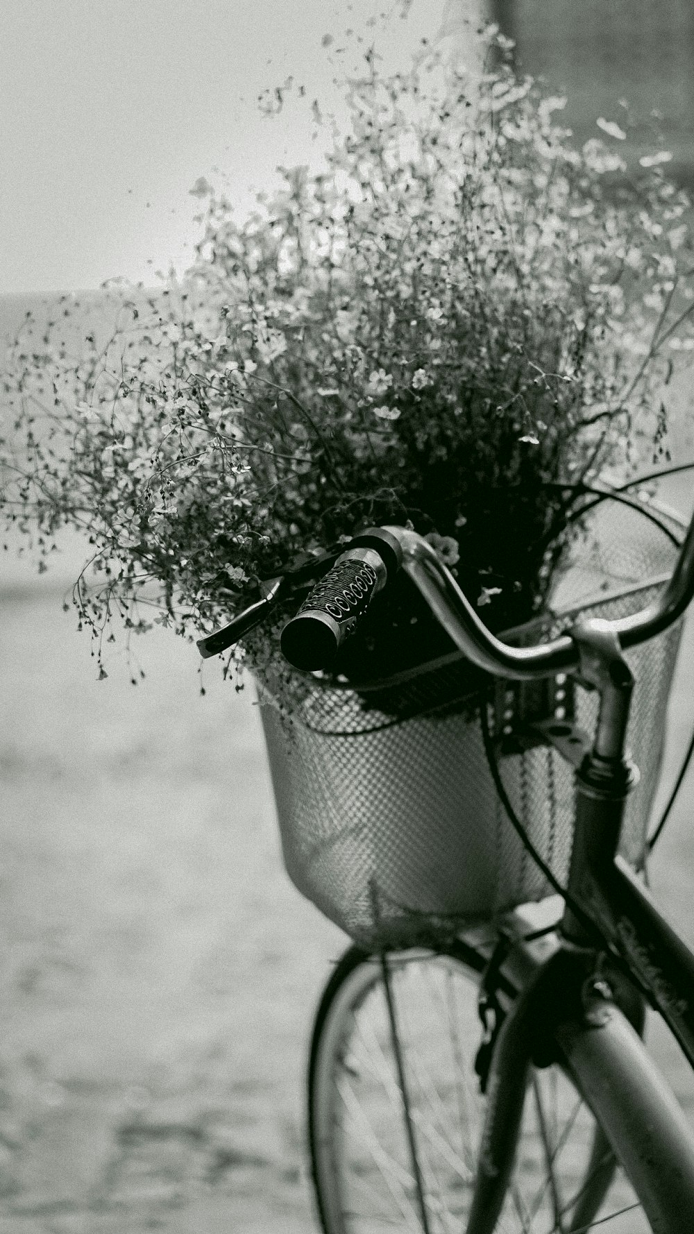 un vélo avec un panier plein de fleurs