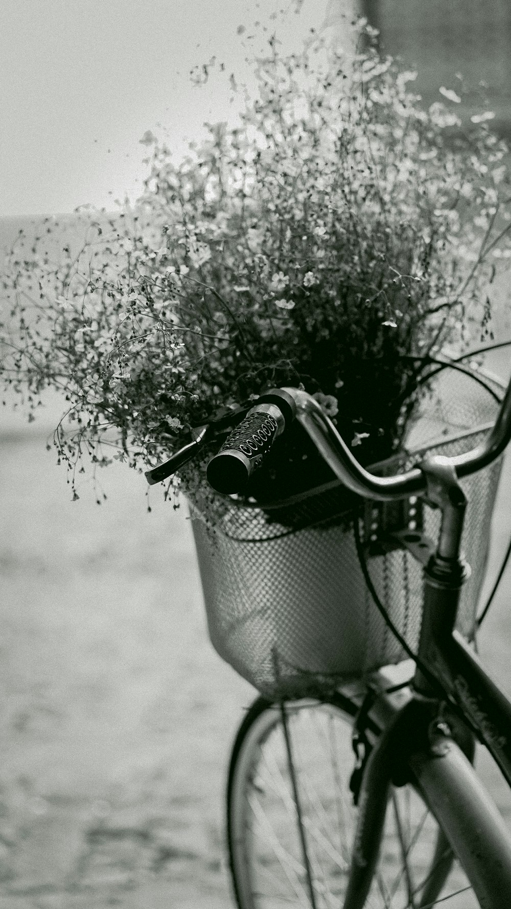 a bicycle with a basket full of flowers