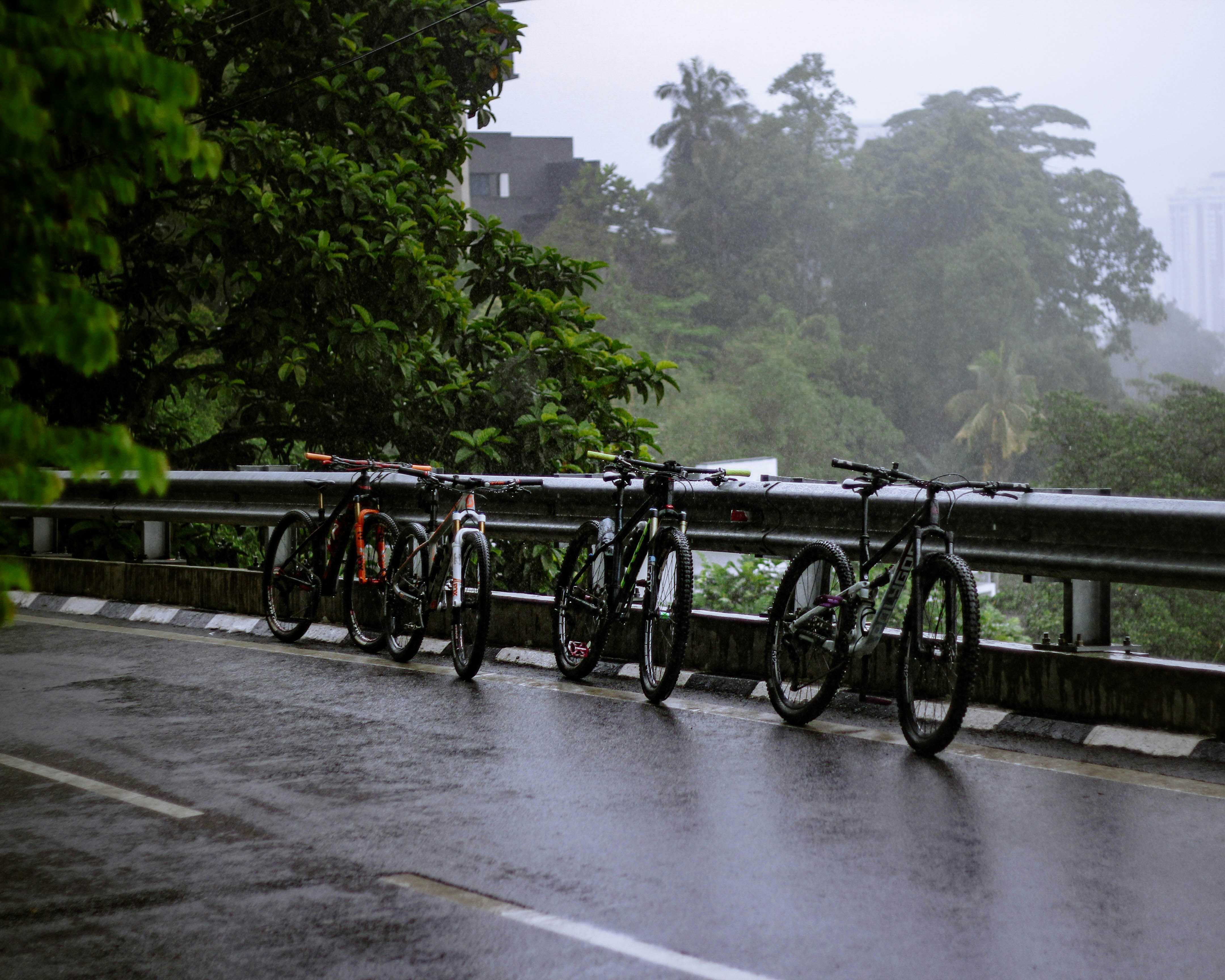 a row of bikes parked on the side of a road