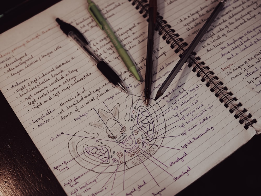 ein Notizbuch mit einer Zeichnung eines Gesichts und zwei Stiften