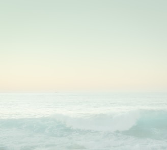 A serene ocean view with gentle waves rolling under a soft pastel sky, framed by leafy coastal plants.