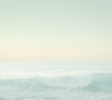 A serene ocean view with gentle waves rolling under a soft pastel sky, framed by leafy coastal plants.