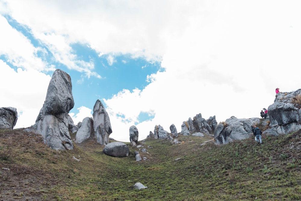 a group of people standing on top of a lush green hillside