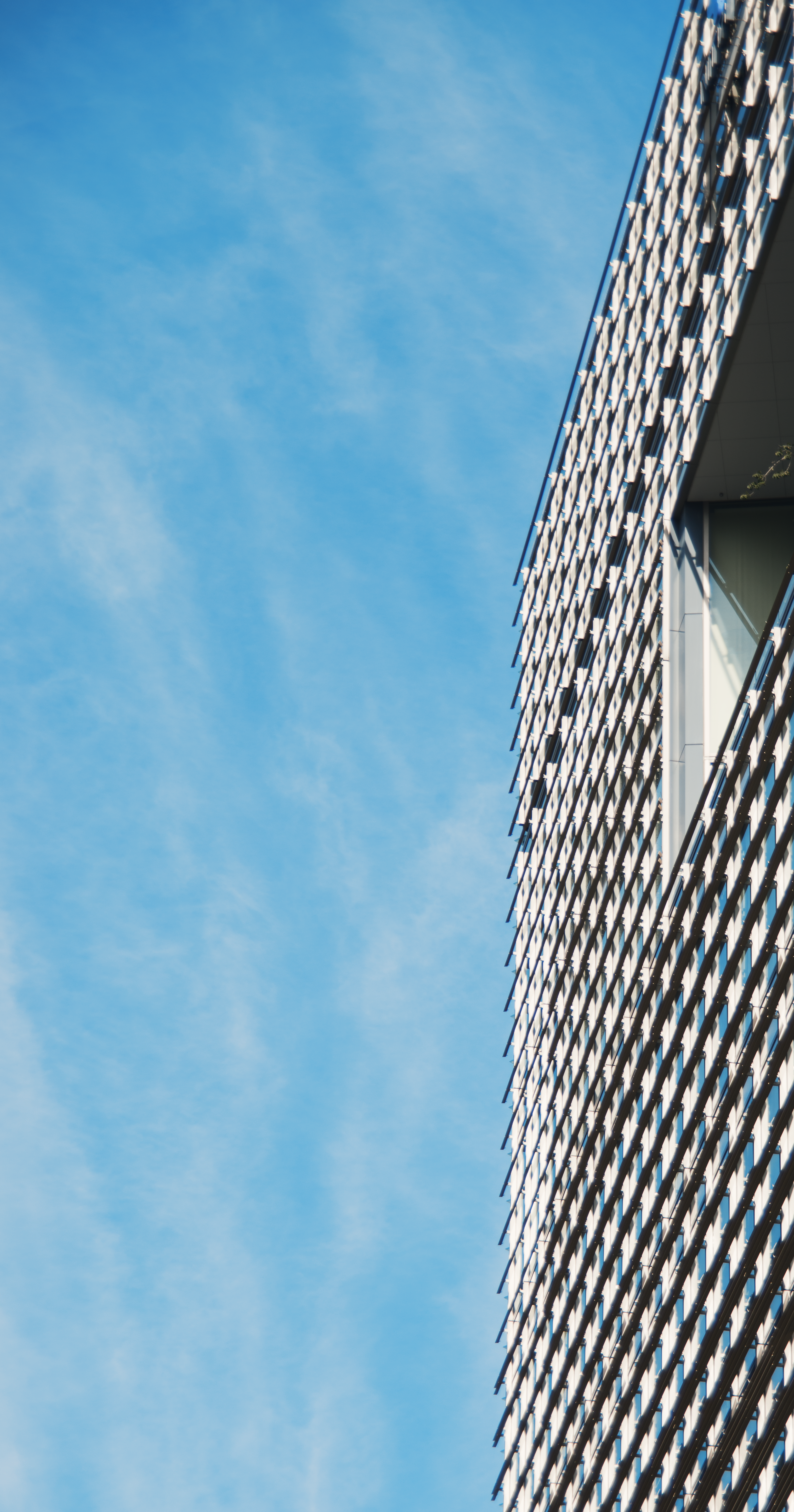 Photo by smithclukas