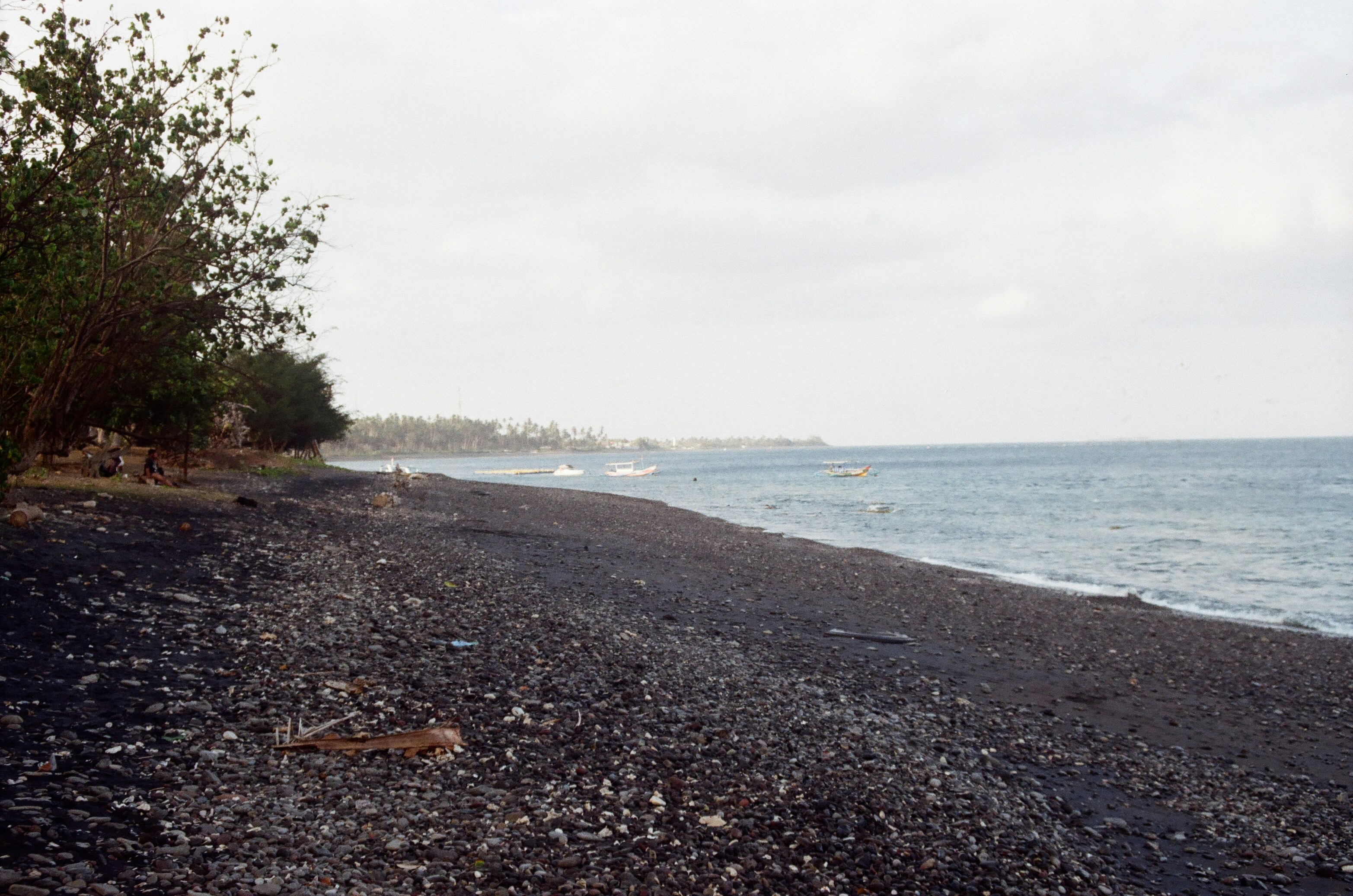 a rocky beach with trees and boats in the water