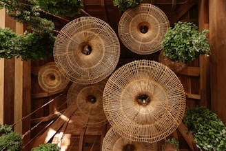 a bunch of plants that are inside of a wooden structure