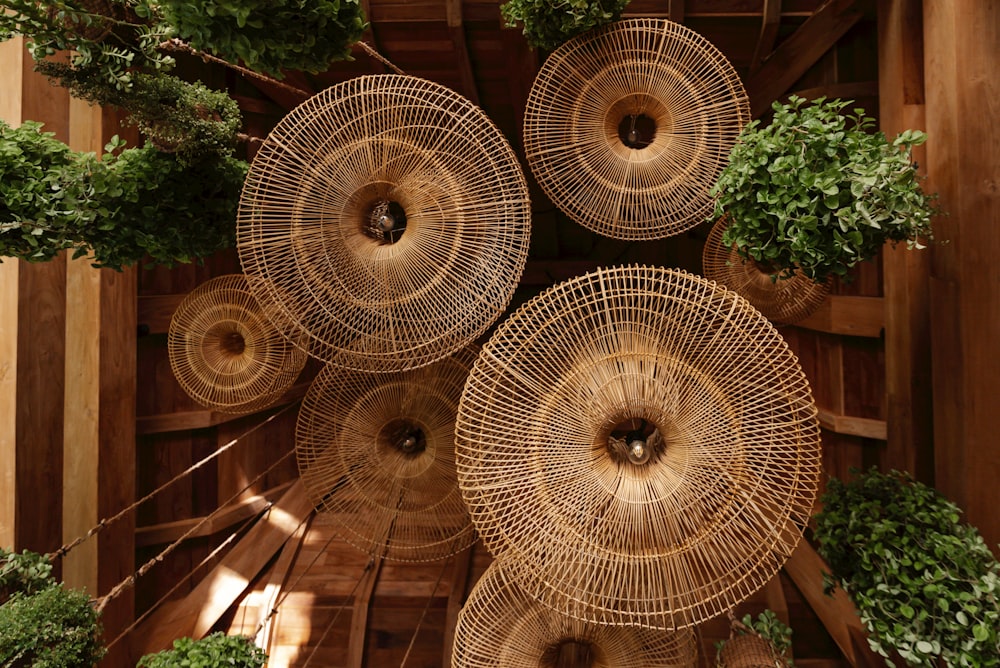 a bunch of plants that are inside of a wooden structure