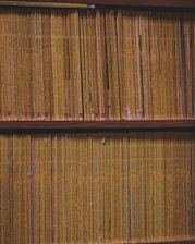 Rows of vintage National Geographic magazines with their distinctive yellow spines arranged neatly on a wooden bookshelf. Each magazine is packed tightly, indicating a well-curated collection, reflecting years of publication.