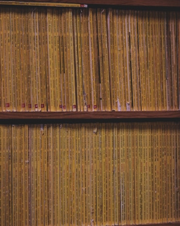 Rows of vintage National Geographic magazines with their distinctive yellow spines arranged neatly on a wooden bookshelf. Each magazine is packed tightly, indicating a well-curated collection, reflecting years of publication.