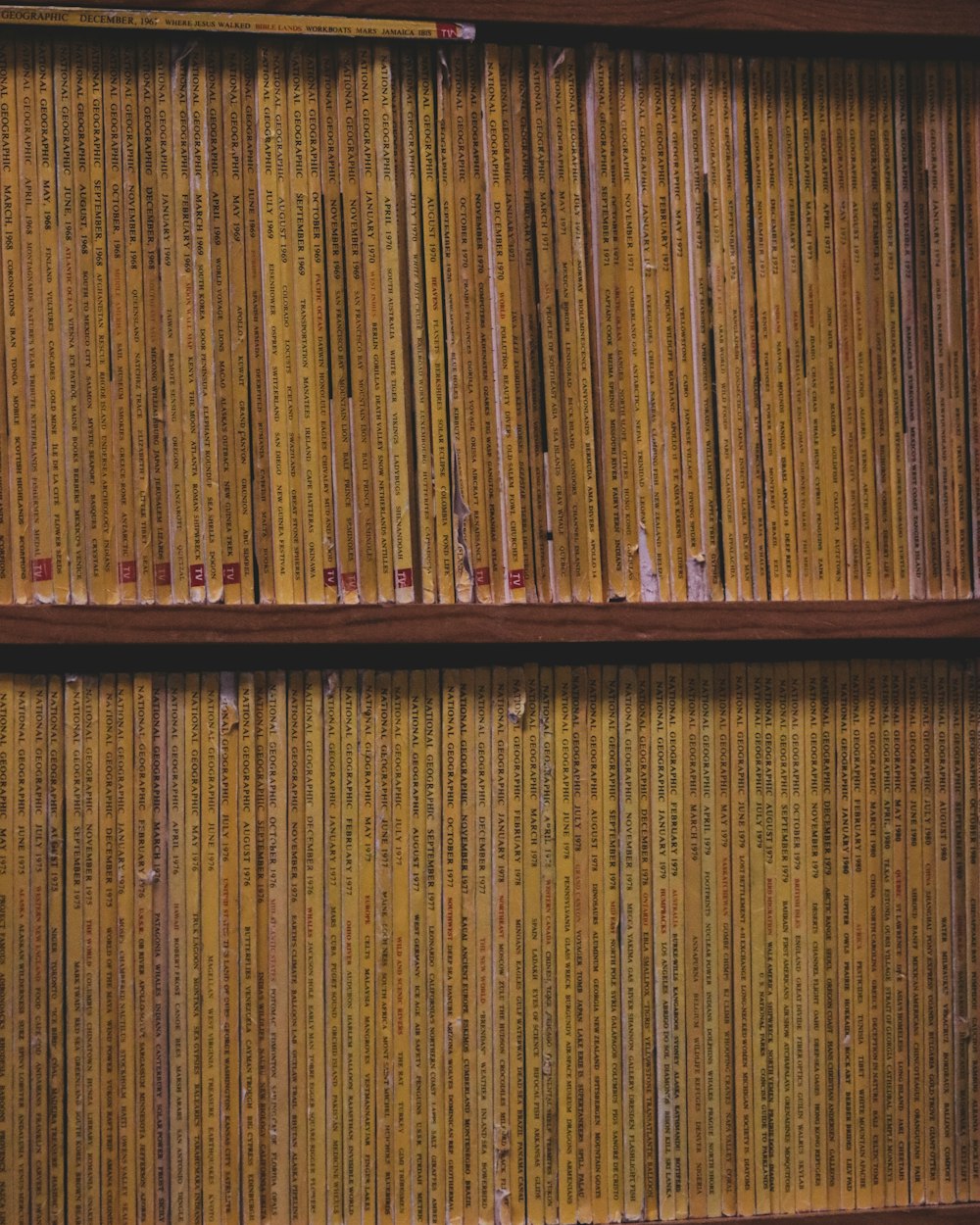 a bookshelf filled with lots of yellow books