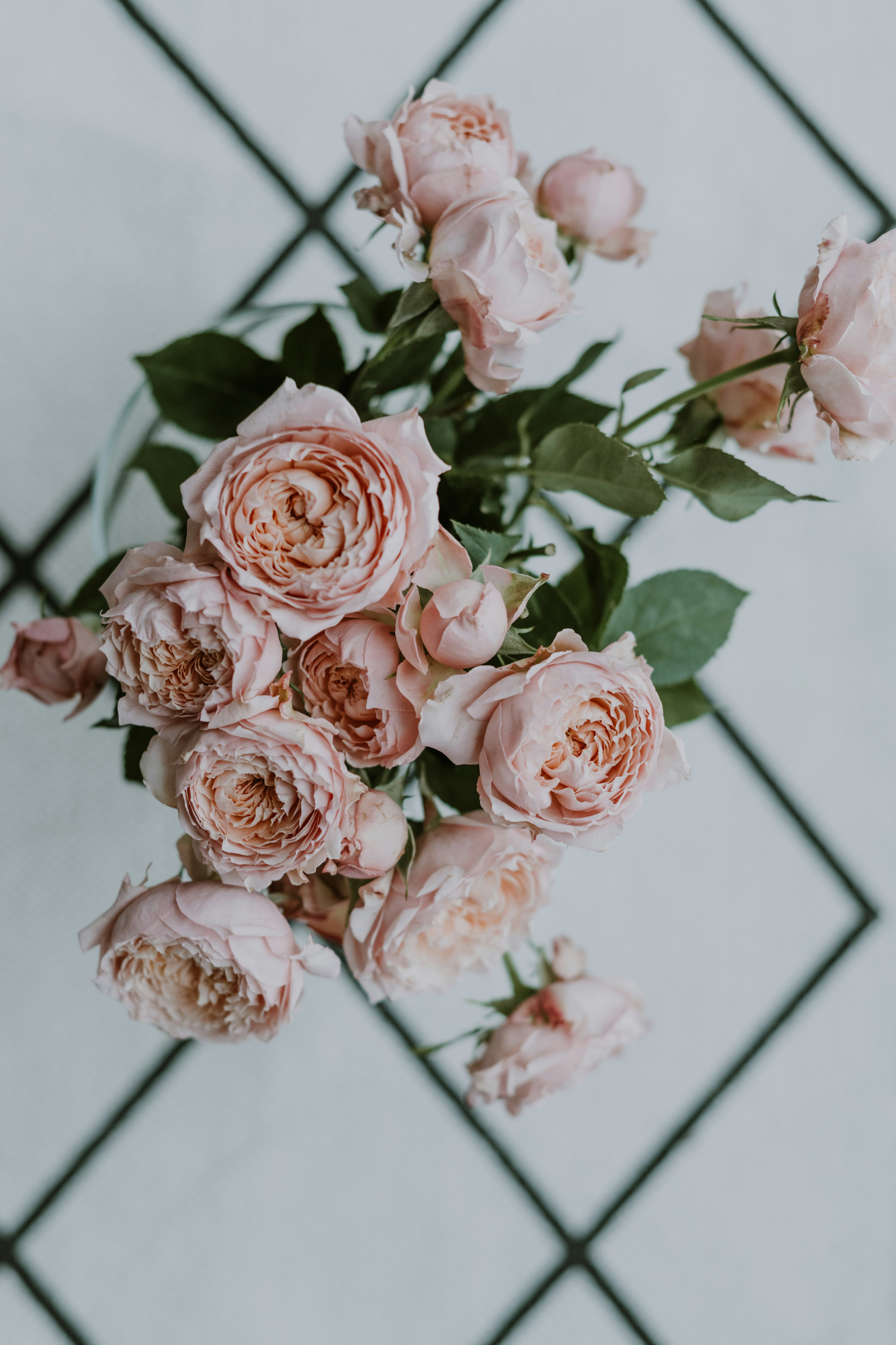 Photo by anitaaustvika