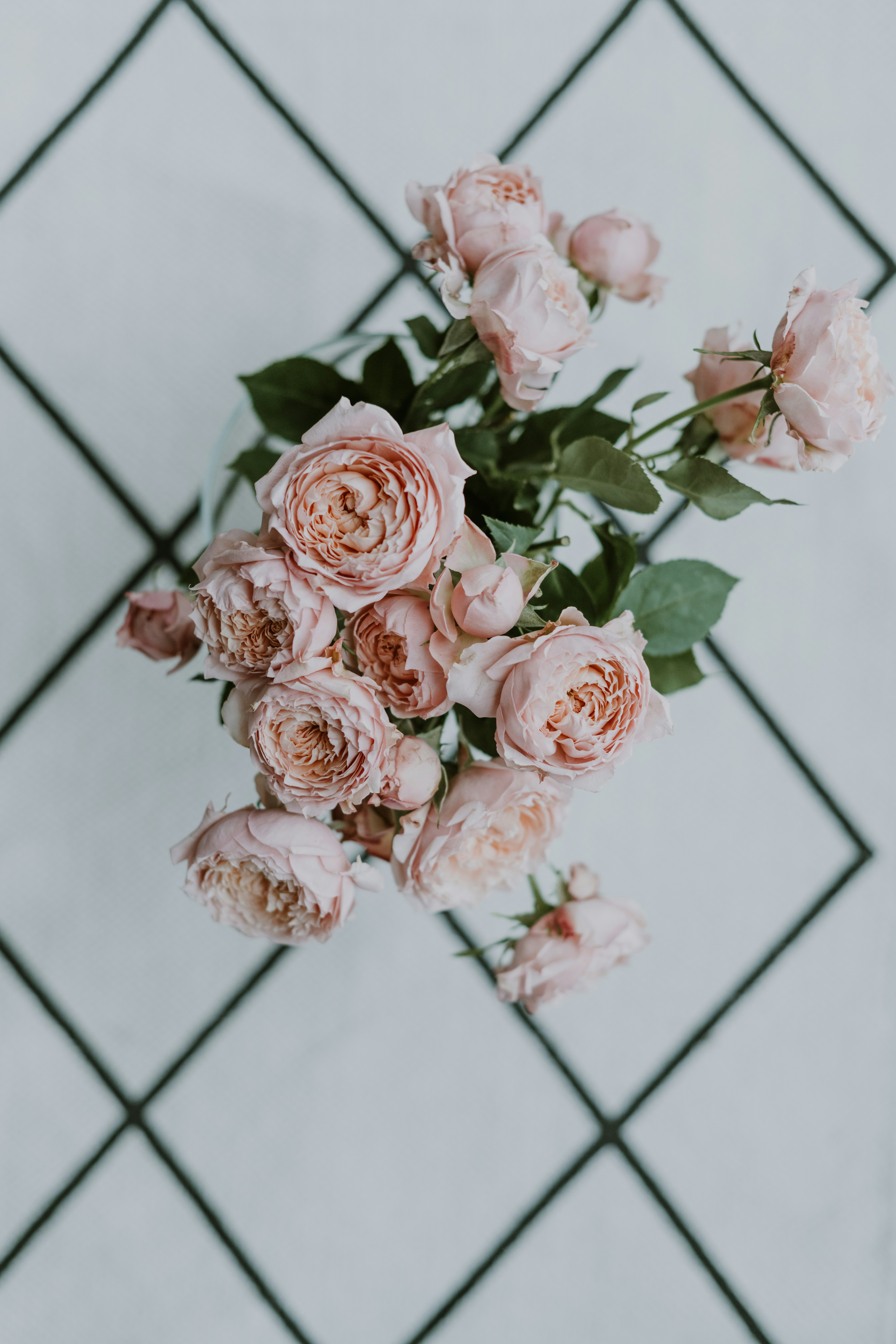 Photo by anitaaustvika