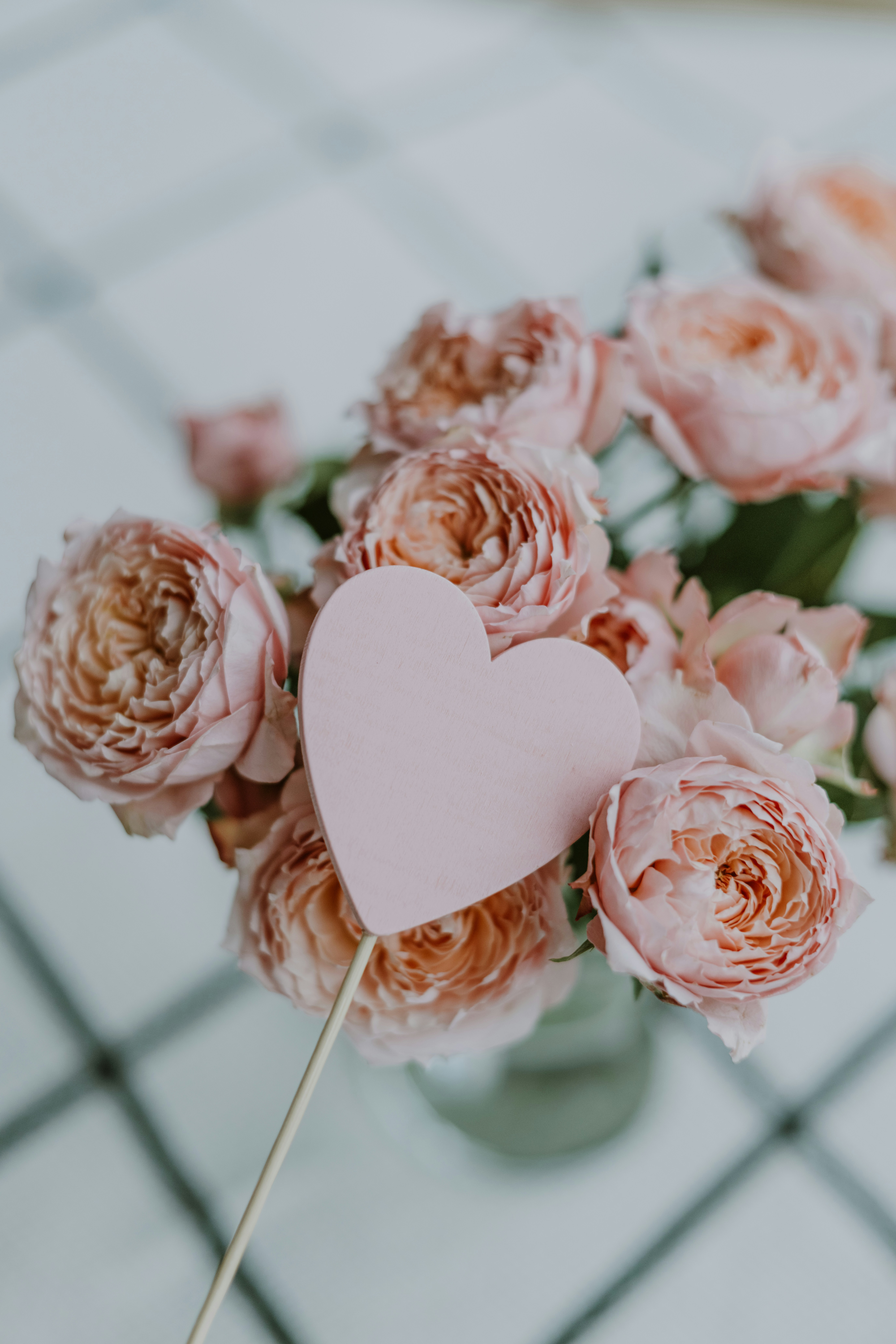 Photo by anitaaustvika