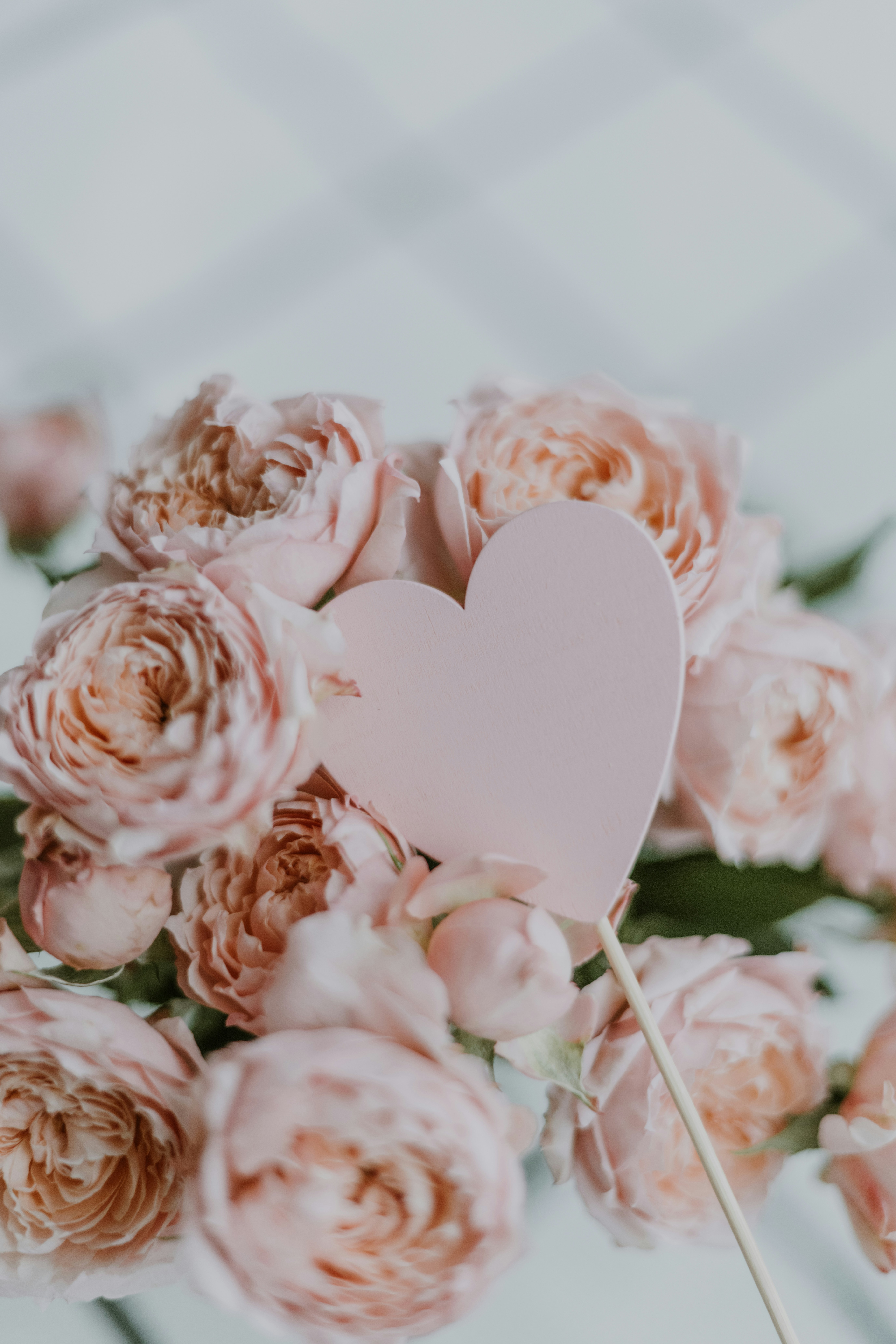 Photo by anitaaustvika