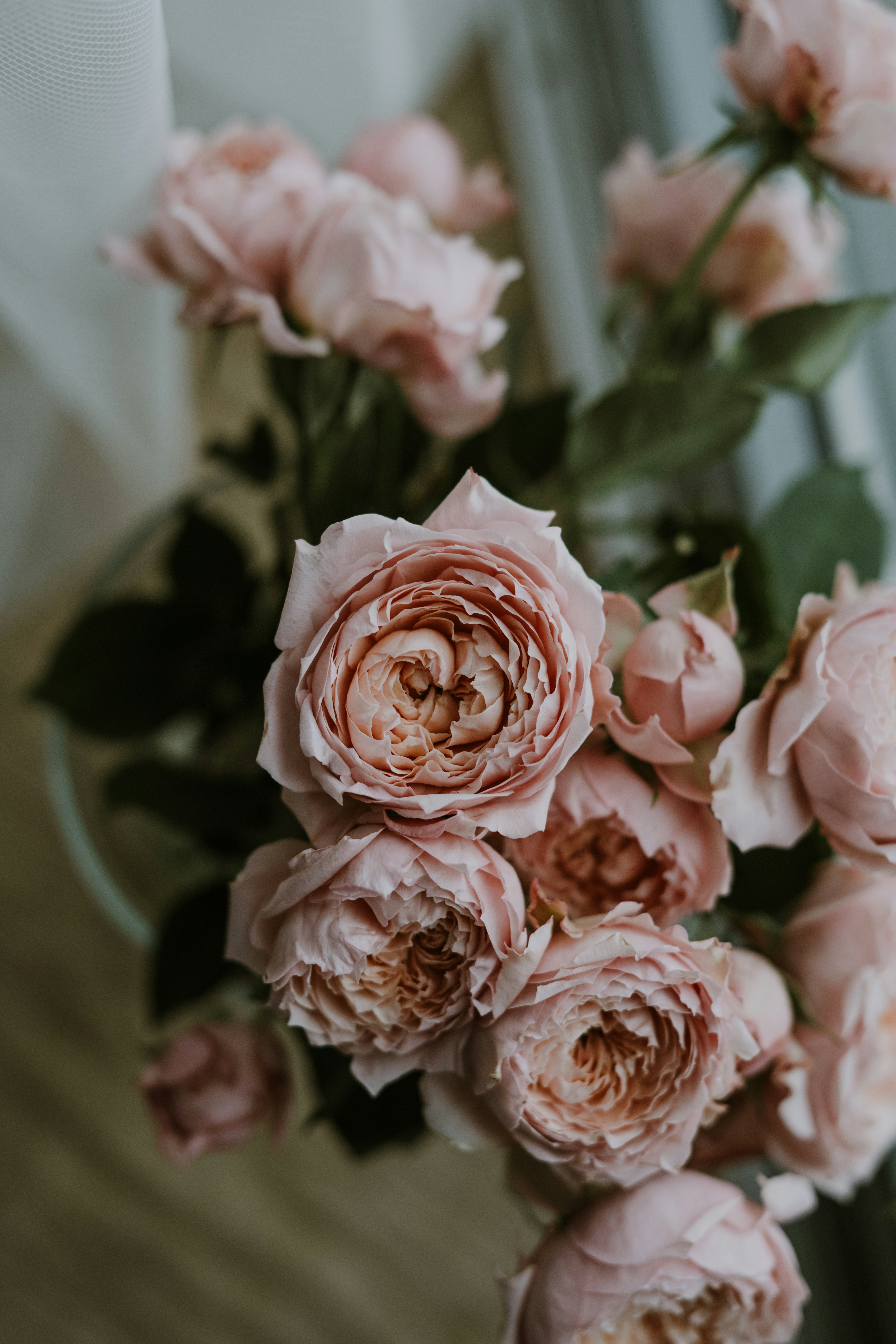 Photo by anitaaustvika