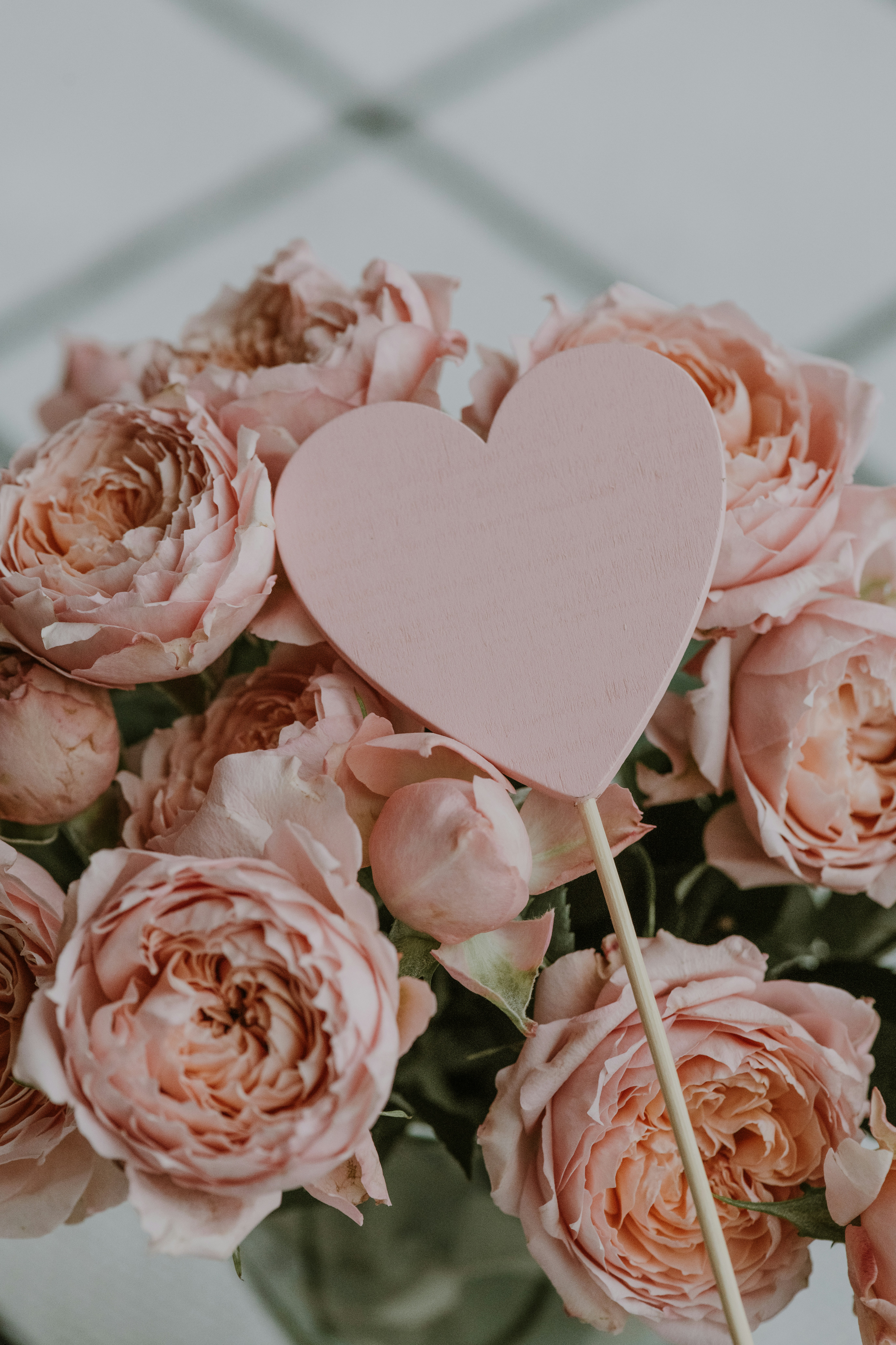 Photo by anitaaustvika