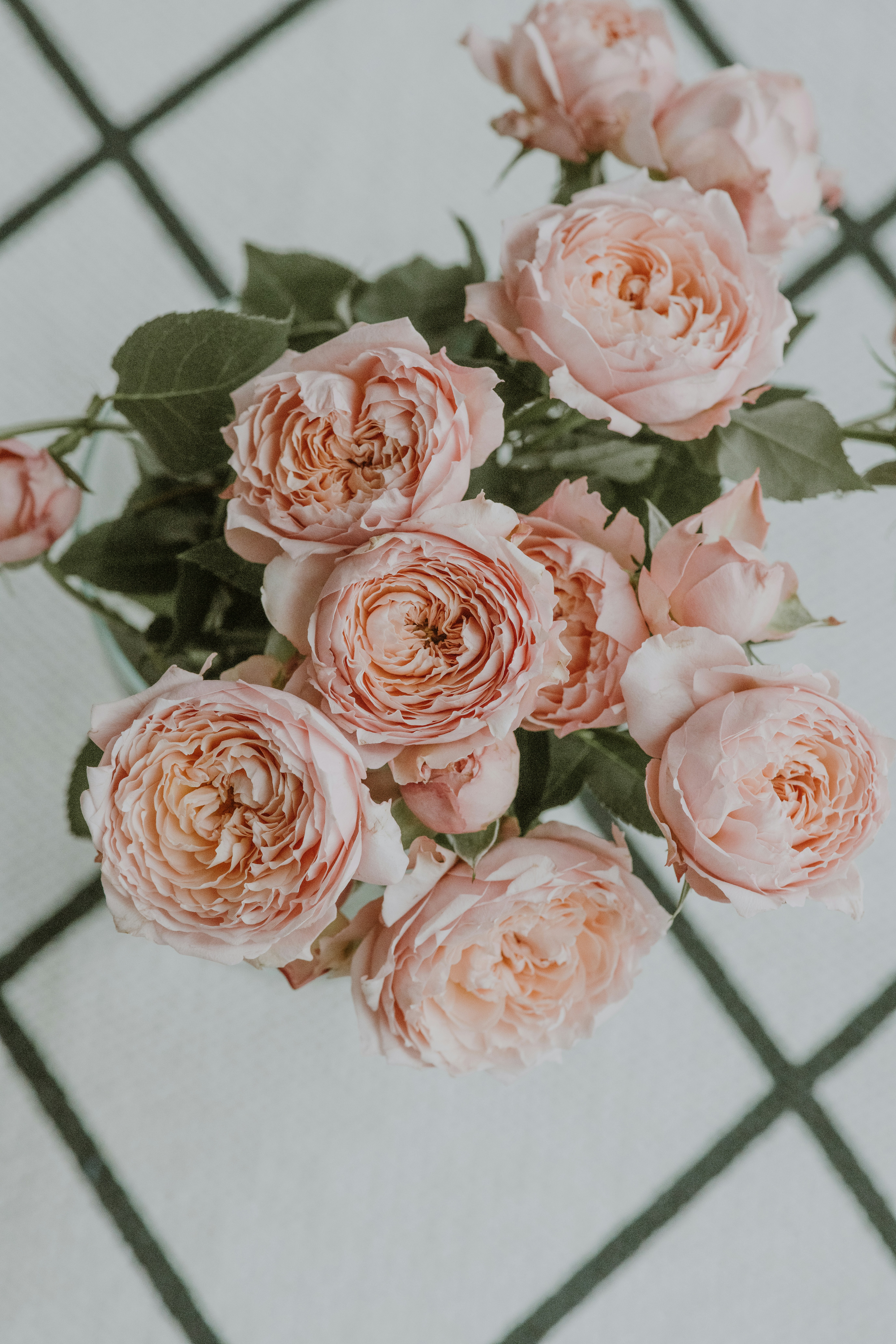 Photo by anitaaustvika