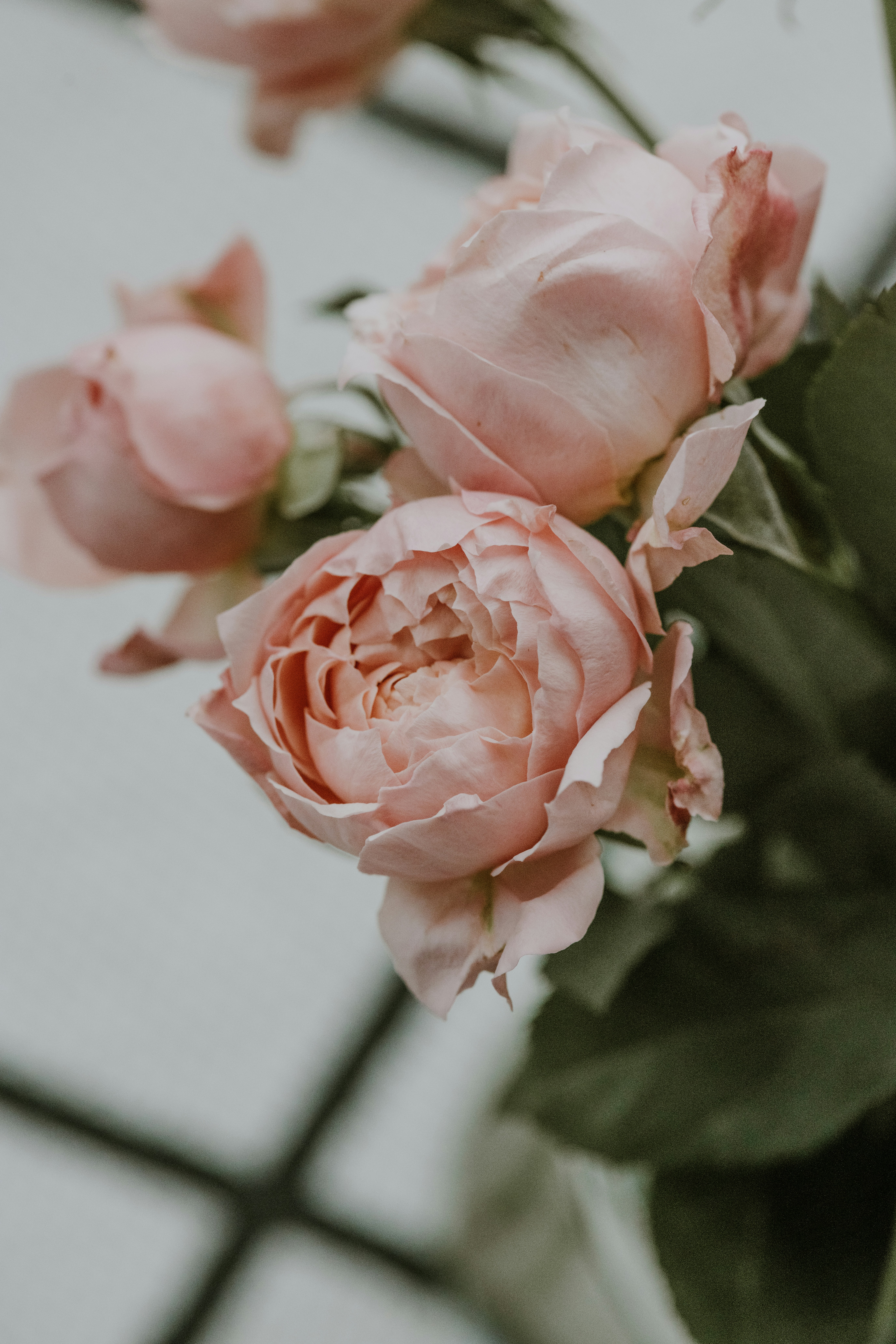 Photo by anitaaustvika