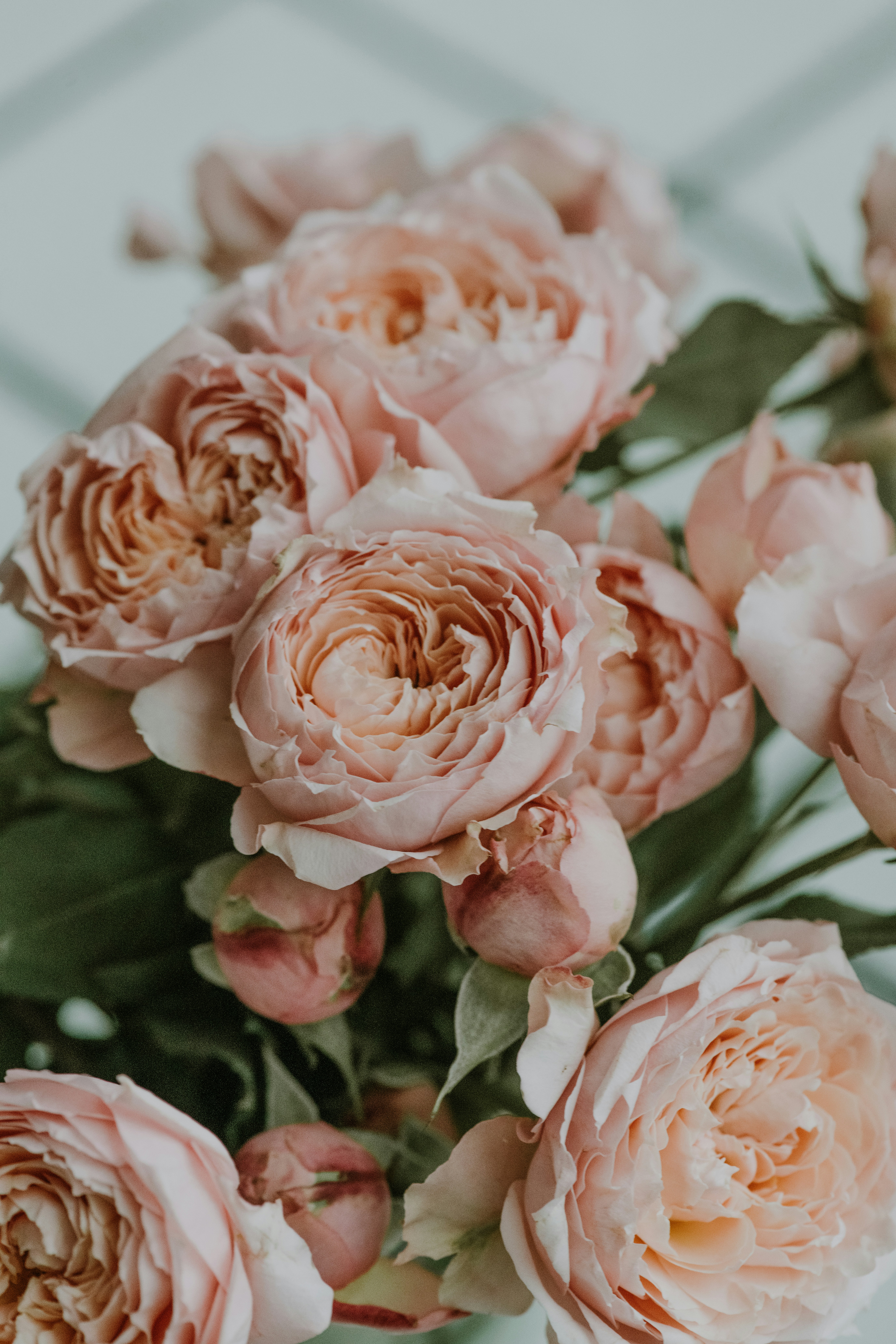 Photo by anitaaustvika