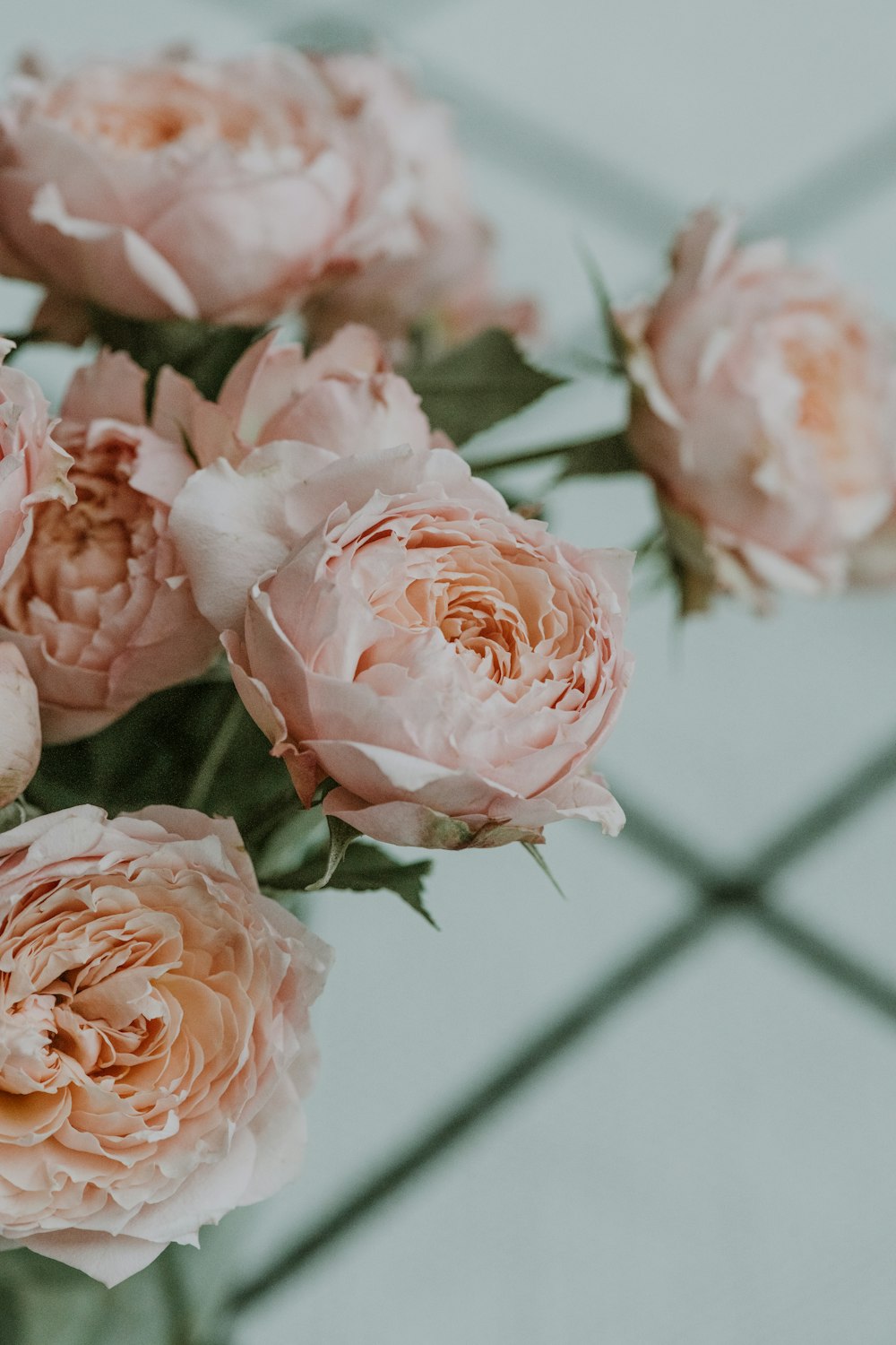 a bunch of pink flowers sitting on top of a table