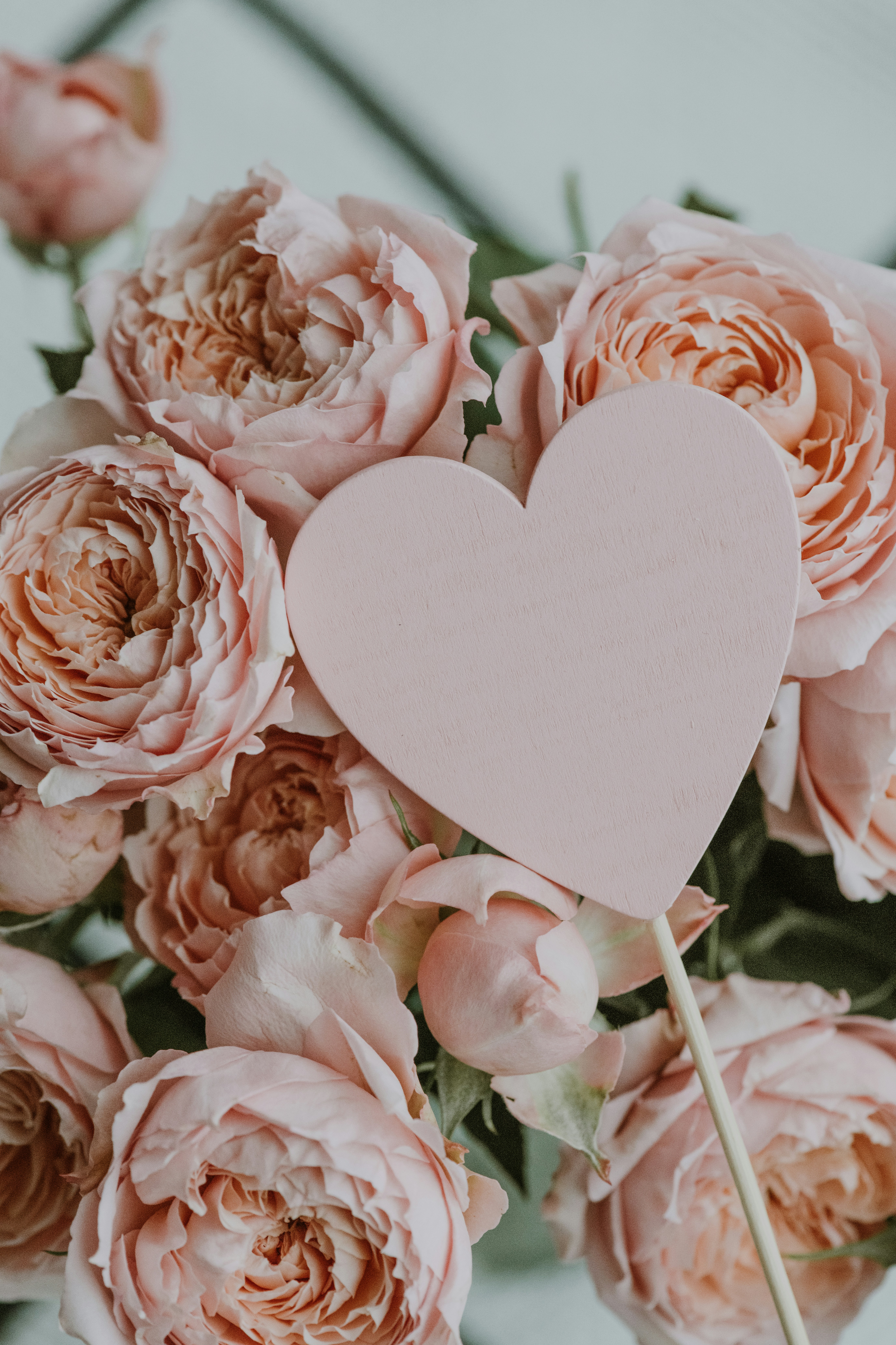 Photo by anitaaustvika